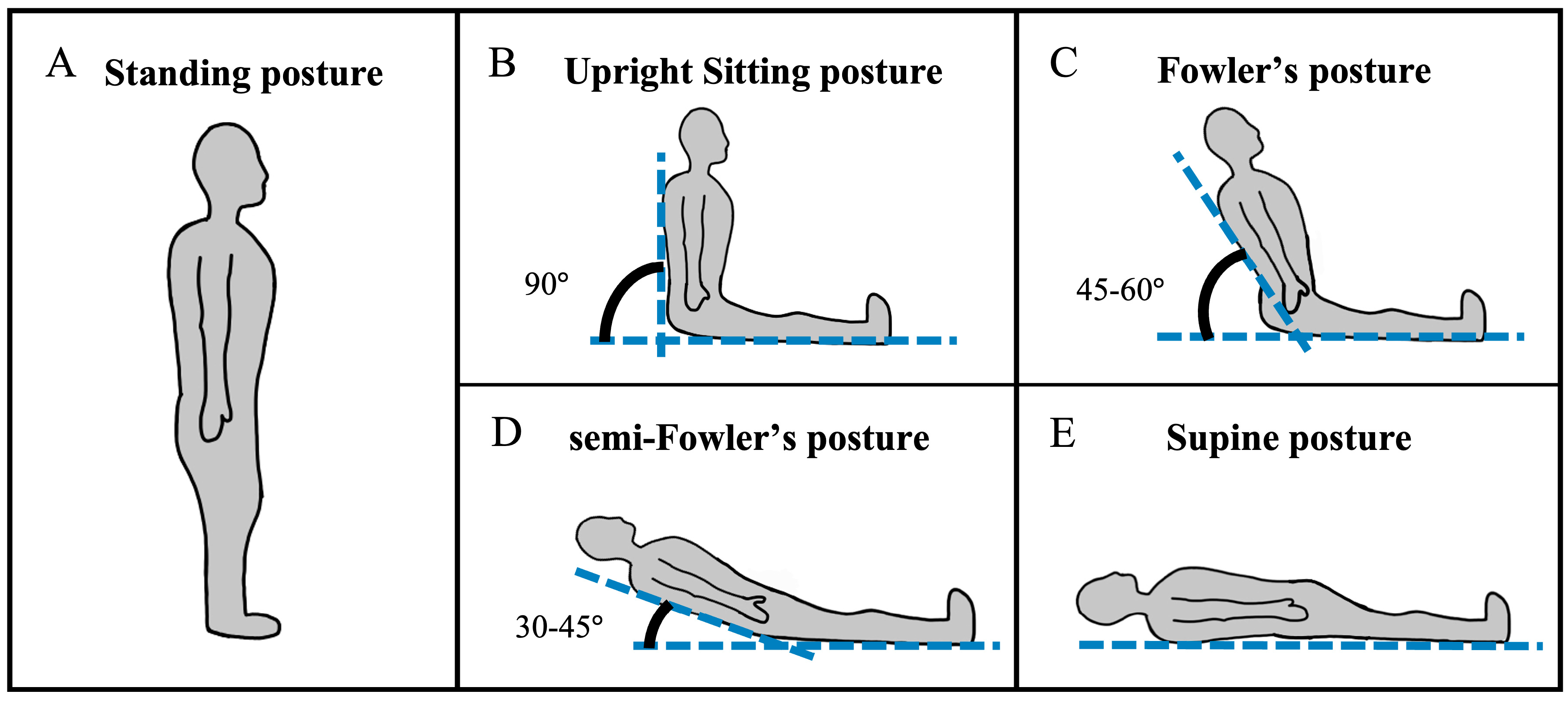 Brainsci 15 01172 g001