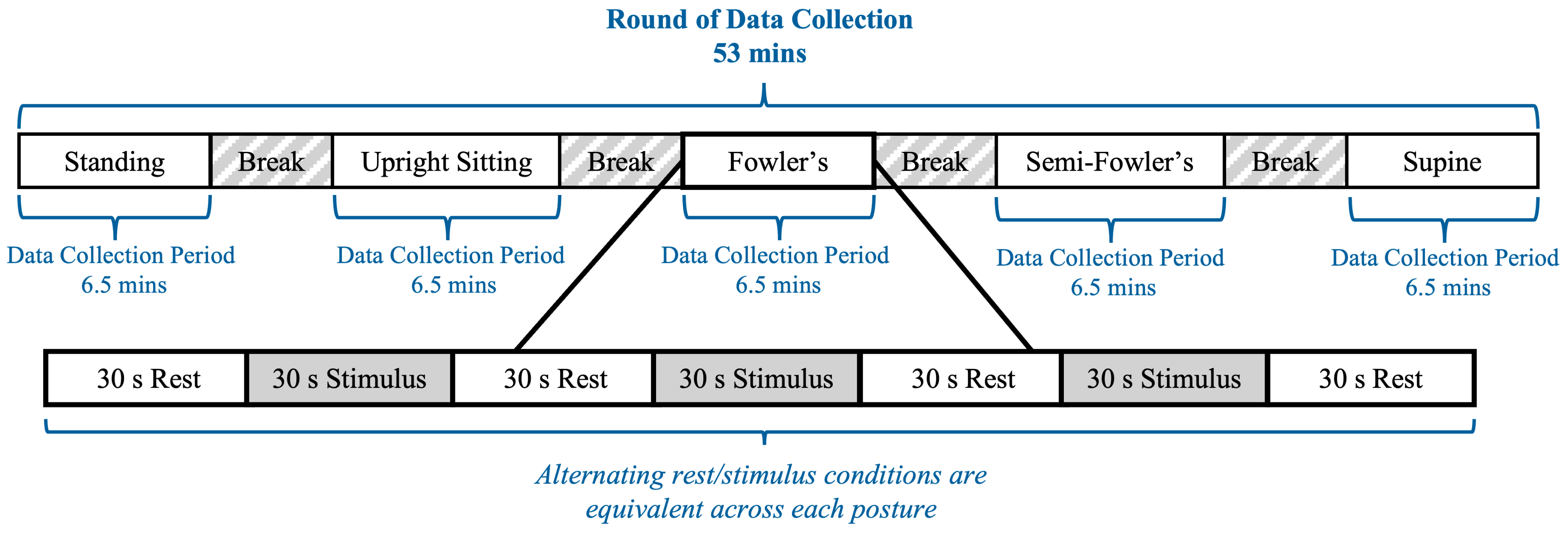 Brainsci 15 01172 g005