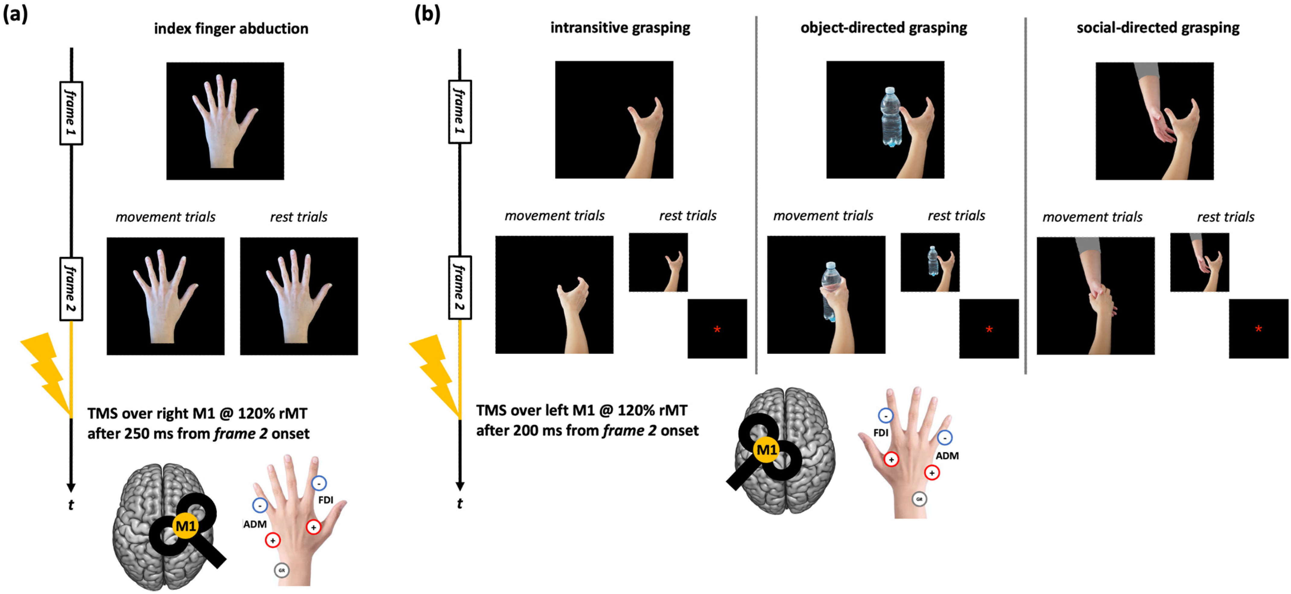 Brainsci 15 01174 g001