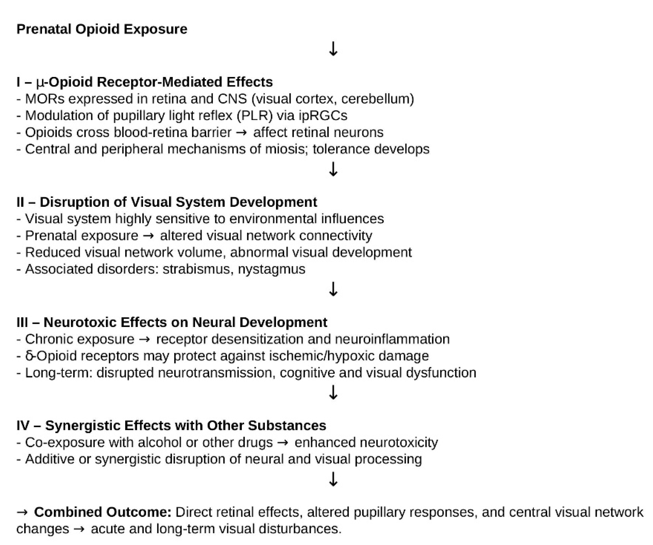 Brainsci 15 01177 g004 Brainsci 15 01177 g004