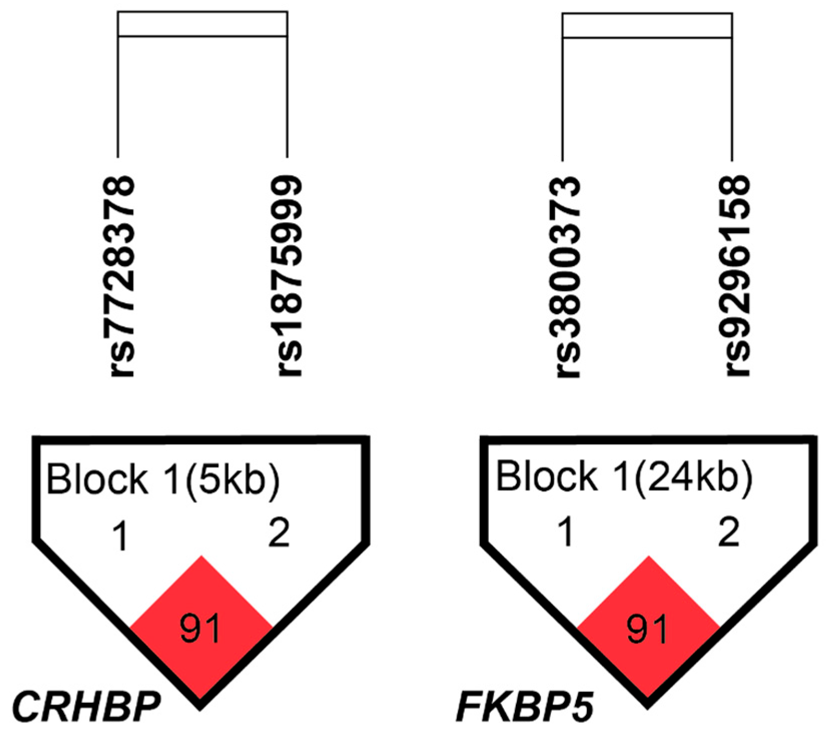 Brainsci 15 01224 g001 Brainsci 15 01224 g001