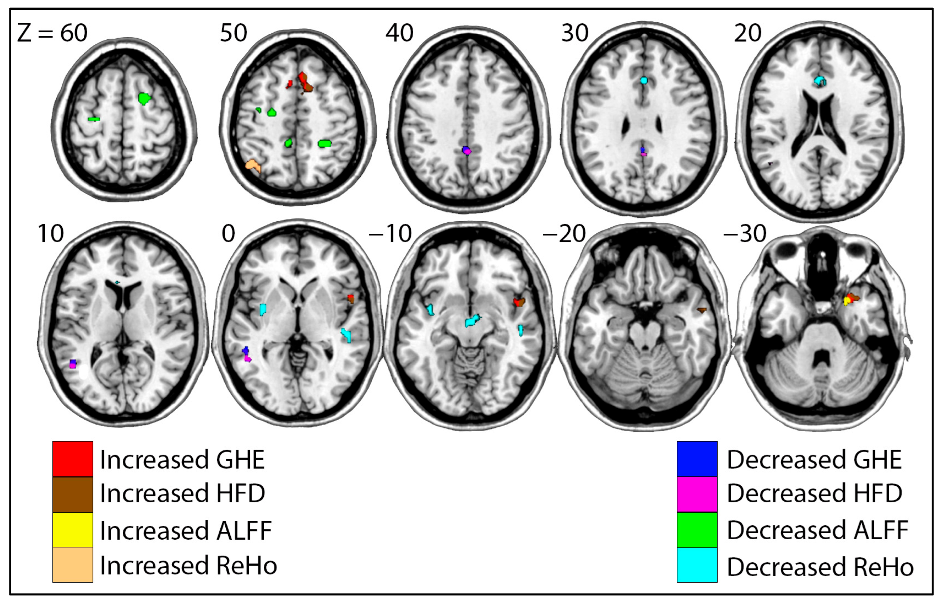 Brainsci 15 01256 g003