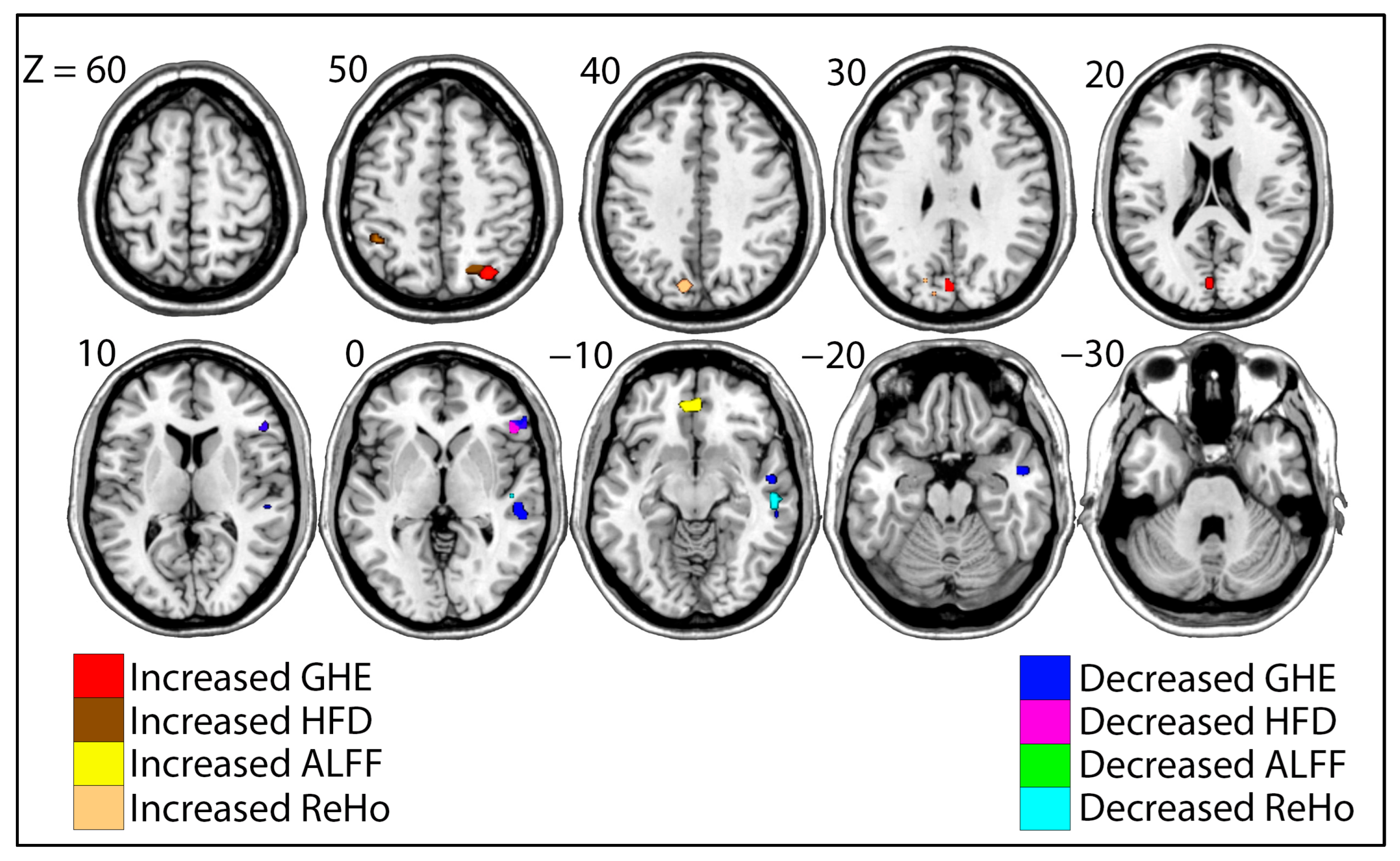 Brainsci 15 01256 g004