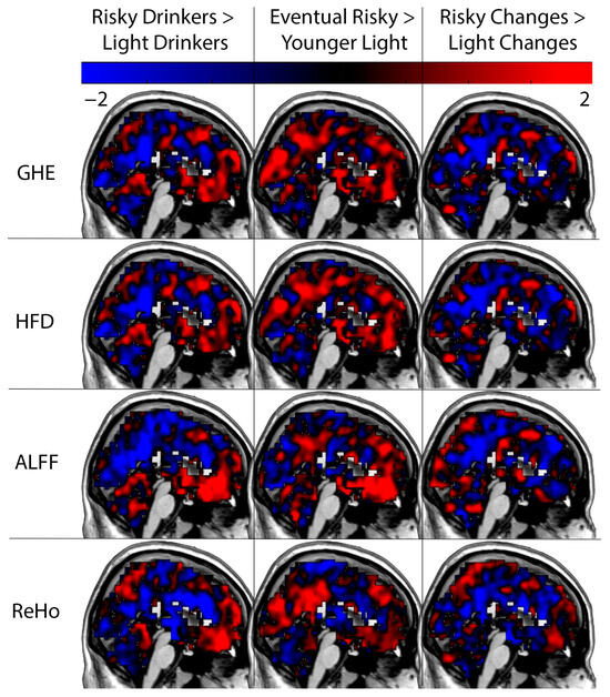 Brainsci 15 01256 g0a1