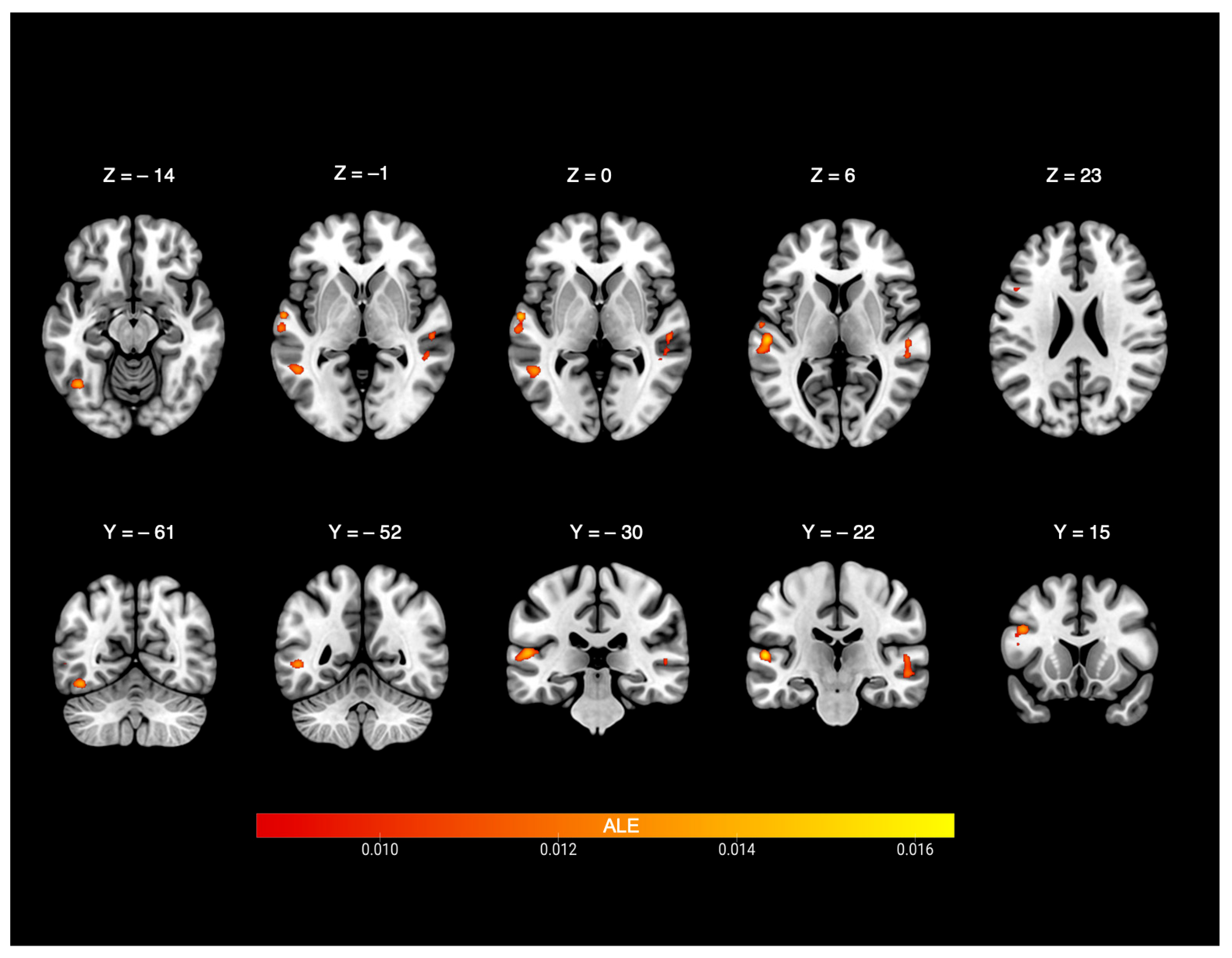 Brainsci 15 01299 g002
