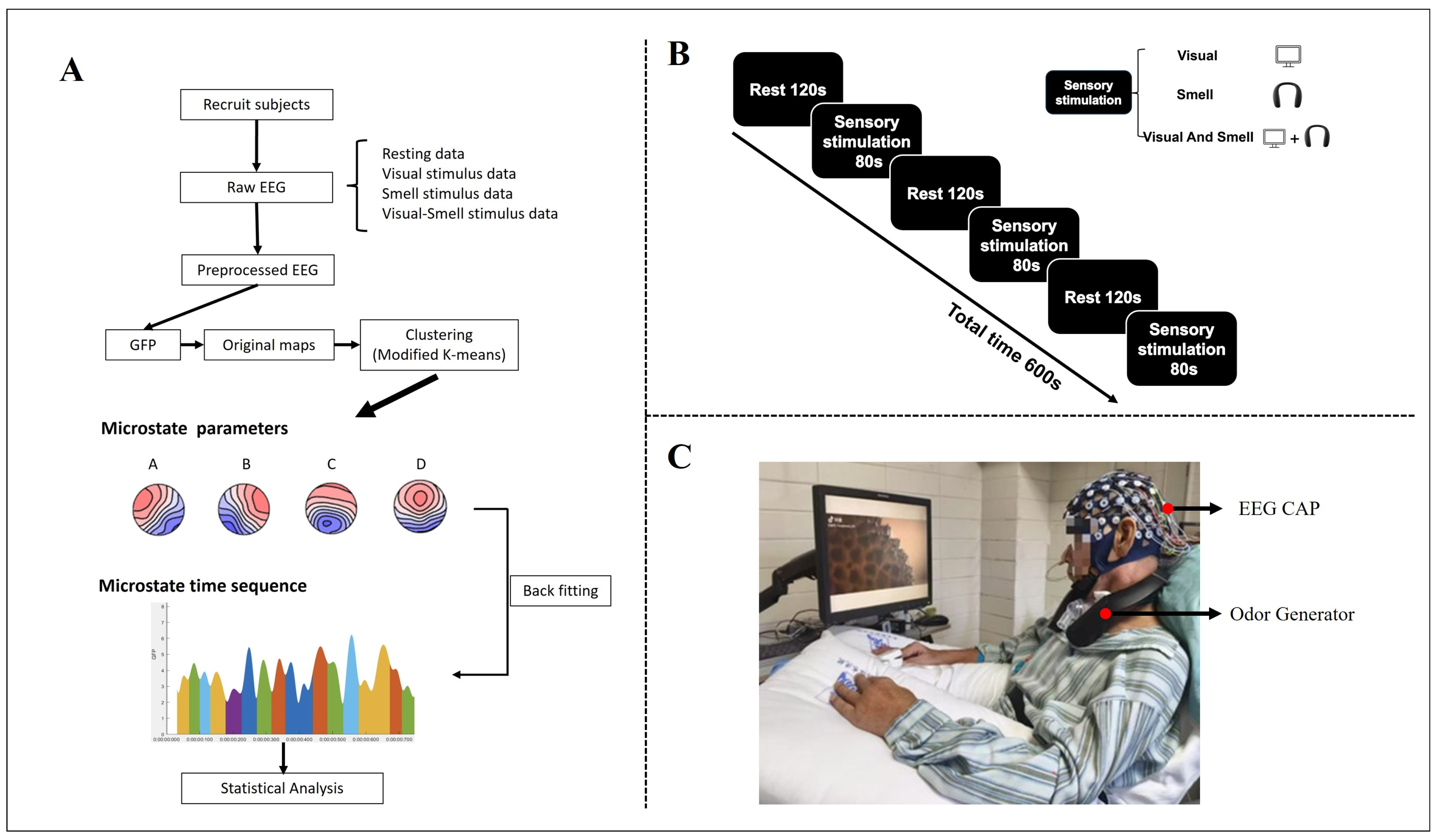 Brainsci 15 01306 g001