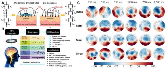 Brainsci 15 01317 g002