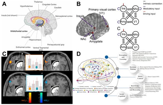 Brainsci 15 01317 g004