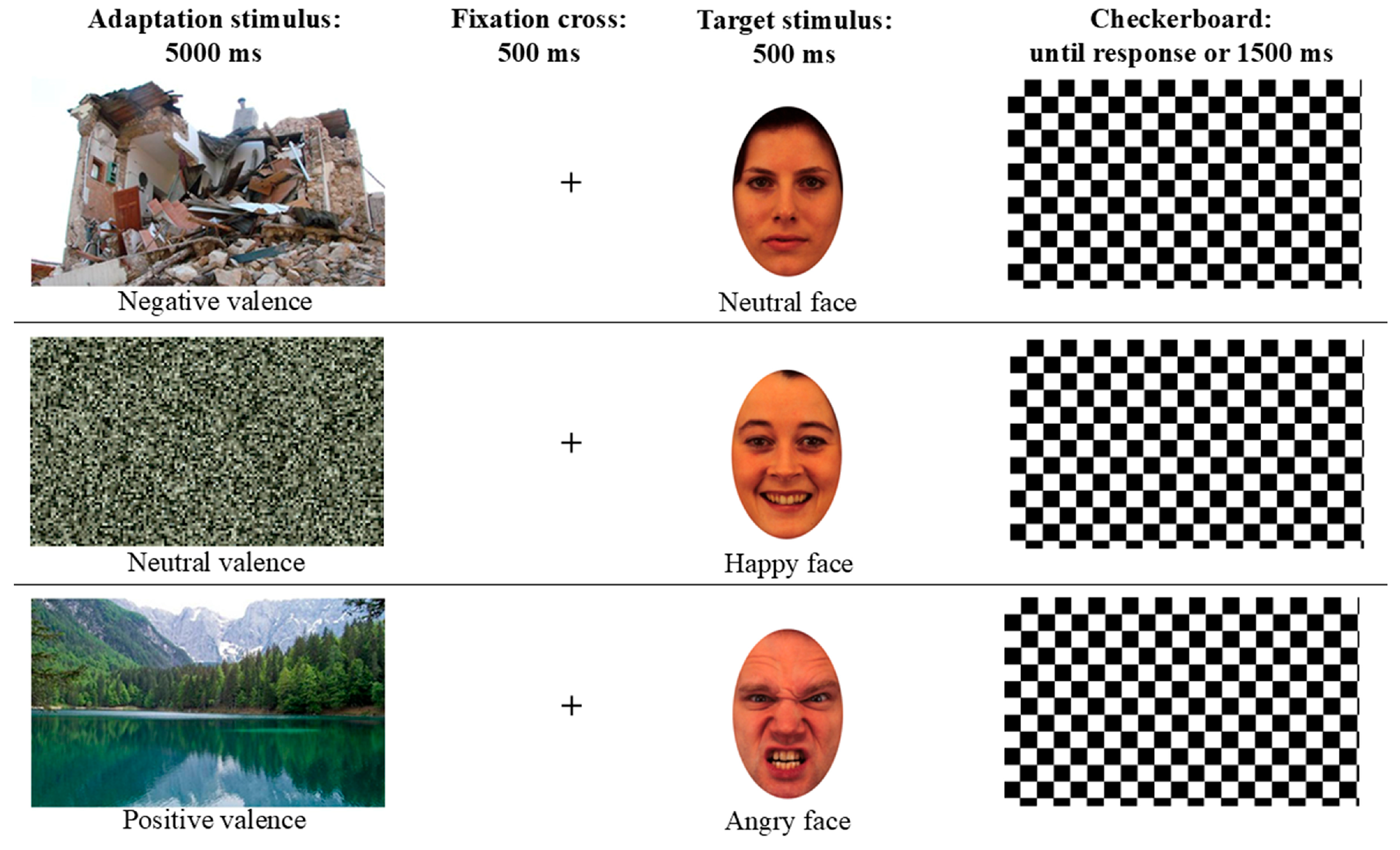 Brainsci 16 00005 g001