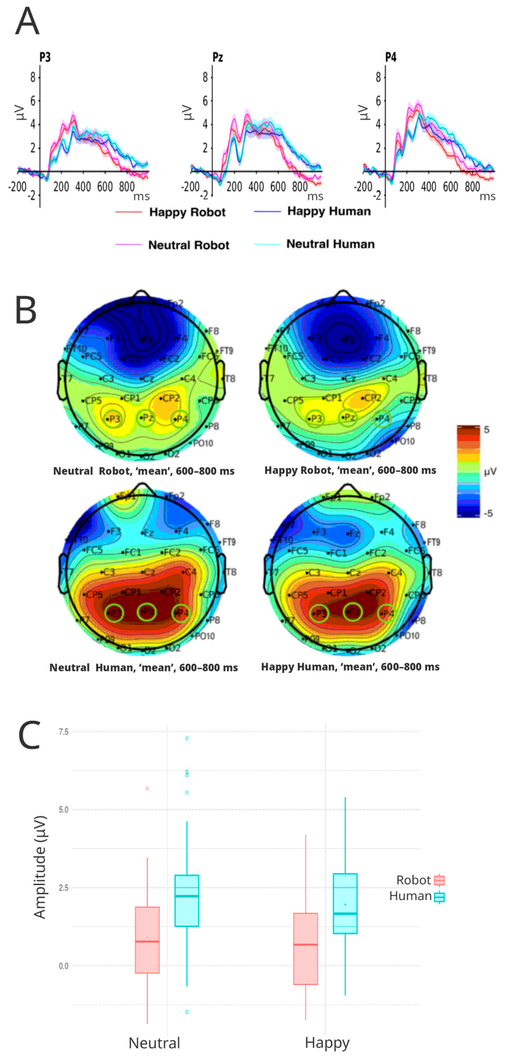 Brainsci 16 00009 g007 Brainsci 16 00009 g007