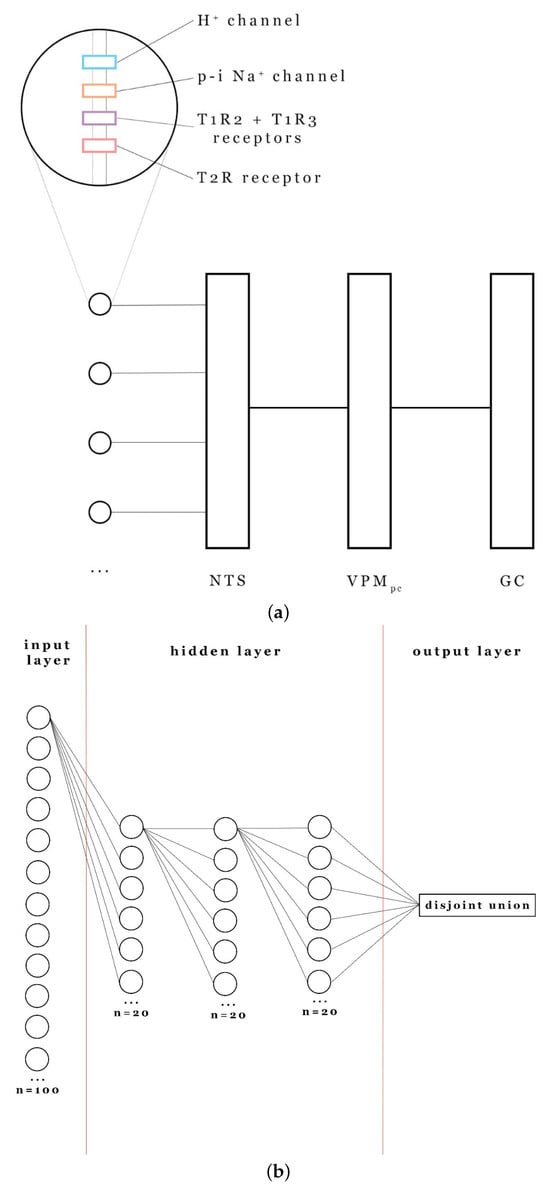 Brainsci 16 00010 g0a1
