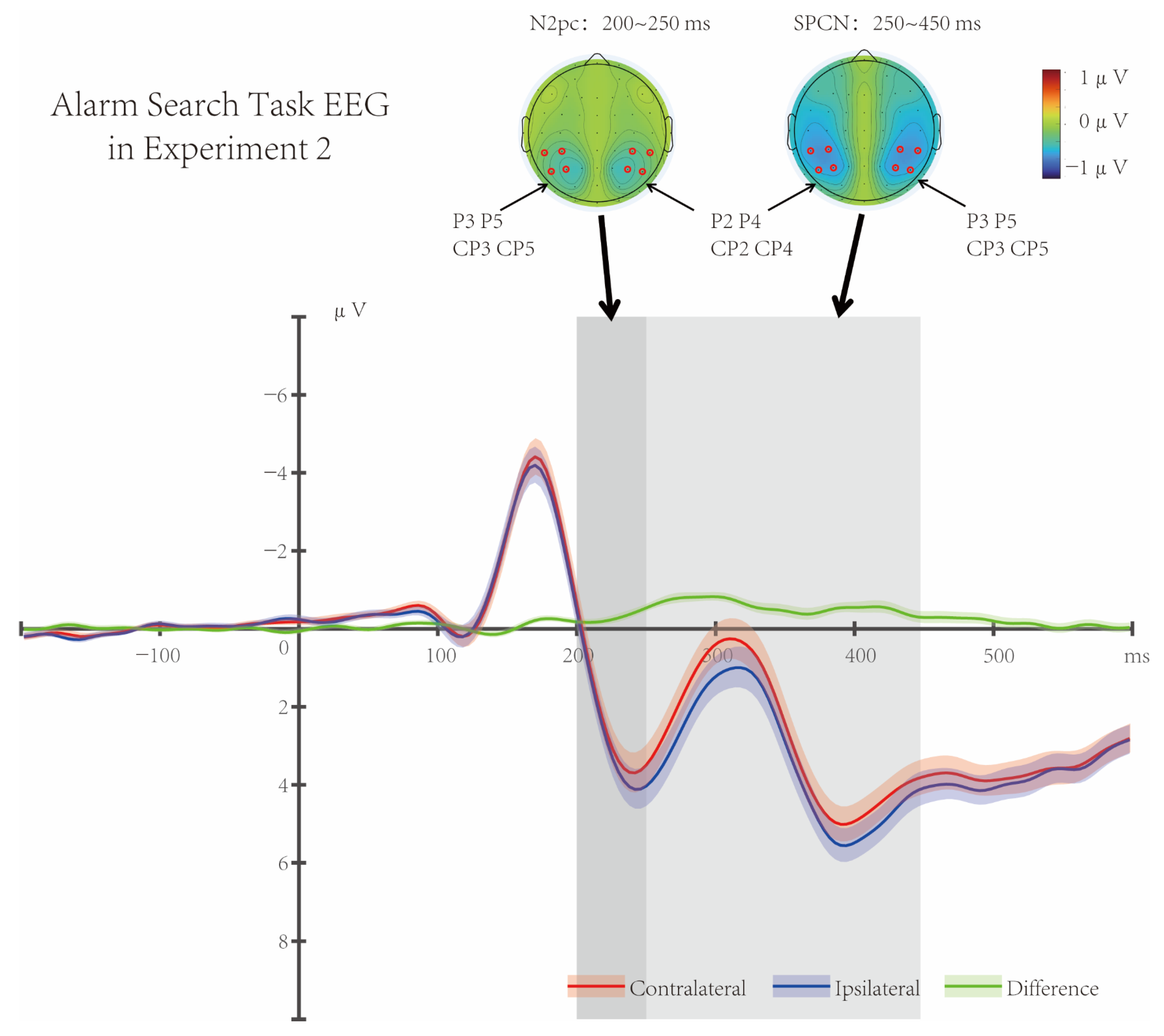 Brainsci 16 00012 g006