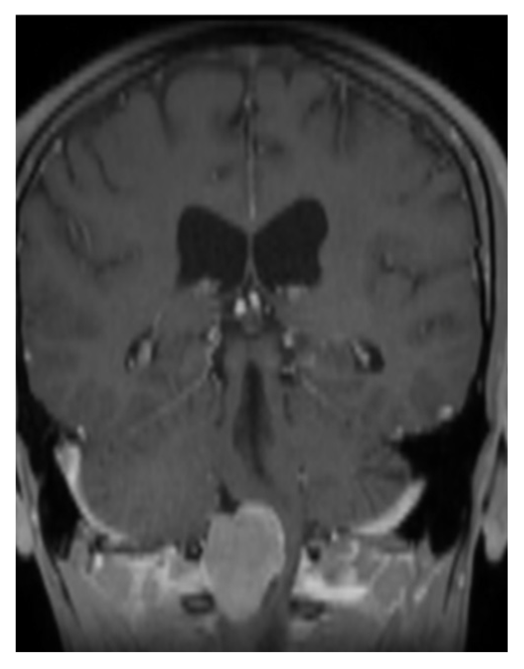 Brainsci 16 00014 g002
