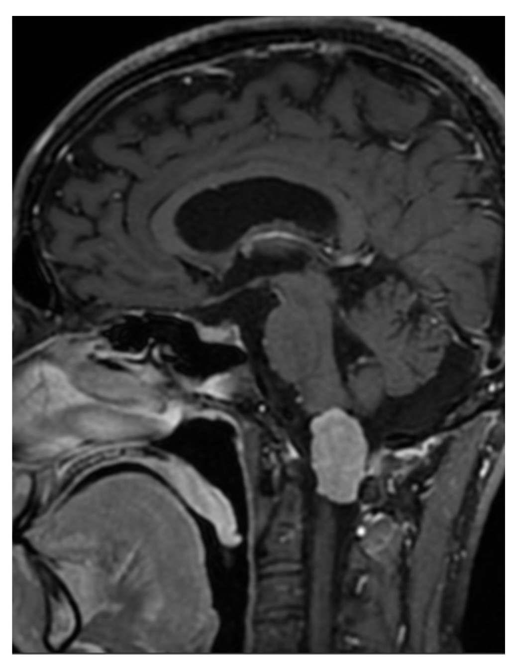 Brainsci 16 00014 g003
