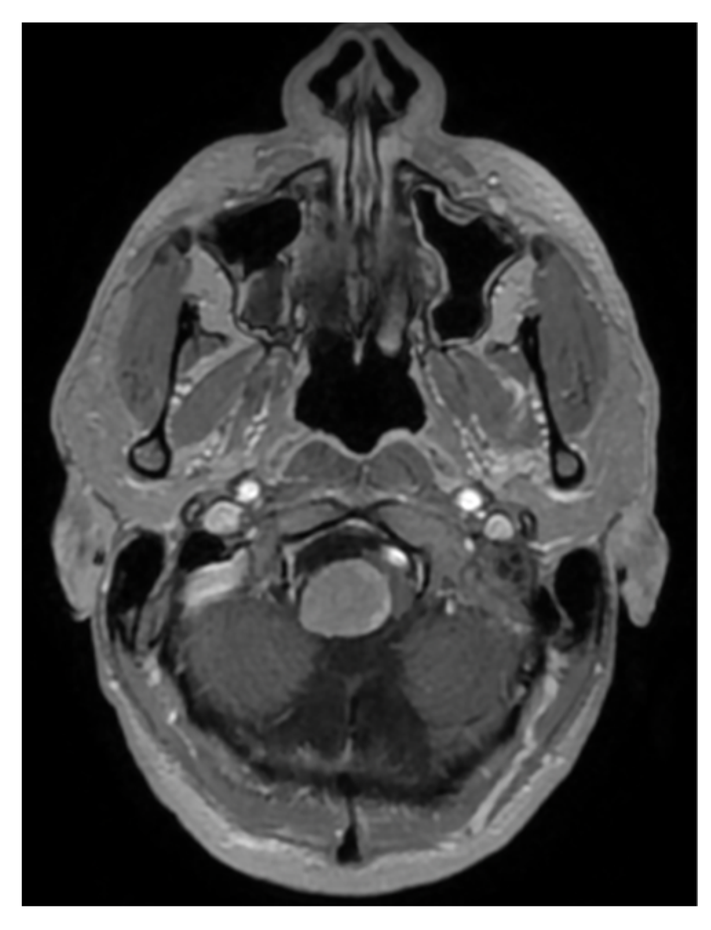 Brainsci 16 00014 g004