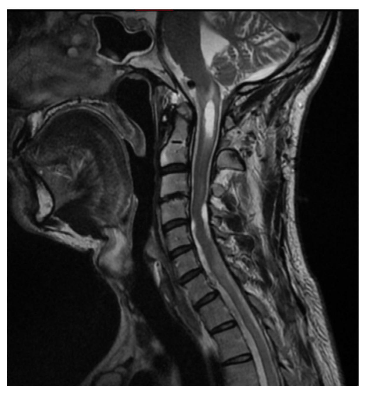 Brainsci 16 00014 g005