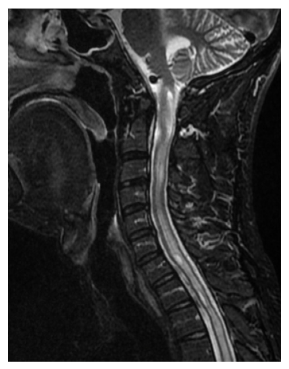 Brainsci 16 00014 g006