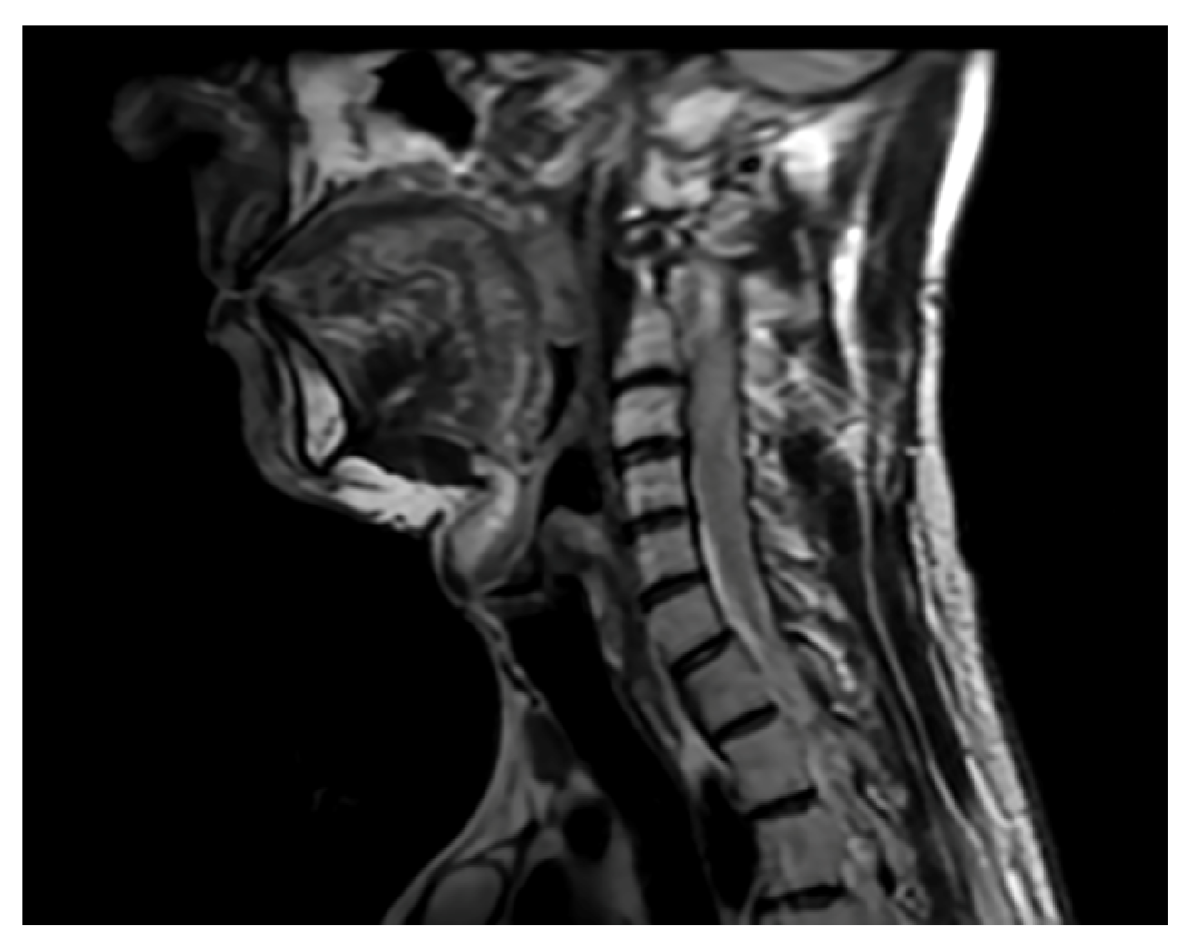 Brainsci 16 00014 g007