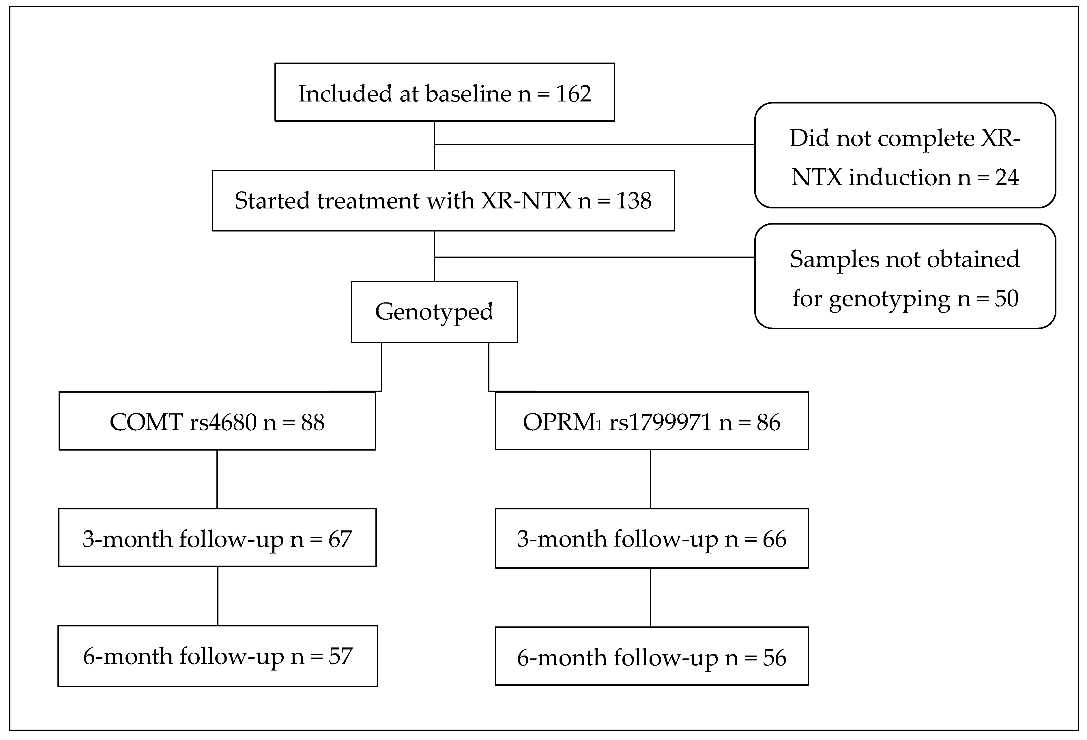 Brainsci 16 00023 g001