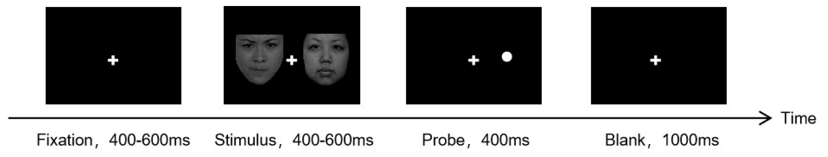 Brainsci 16 00036 g003 Brainsci 16 00036 g003