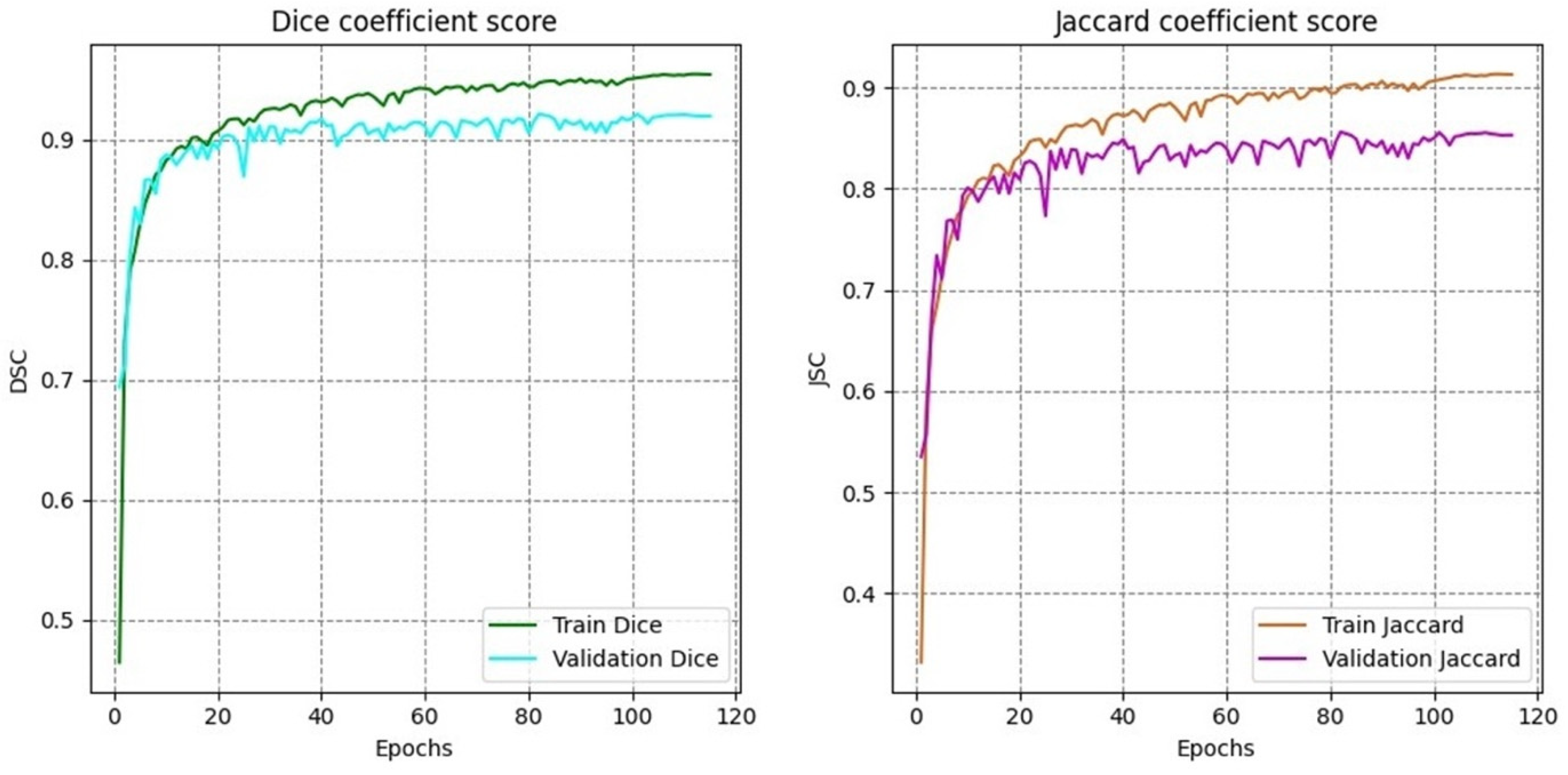 Brainsci 16 00037 g007 Brainsci 16 00037 g007