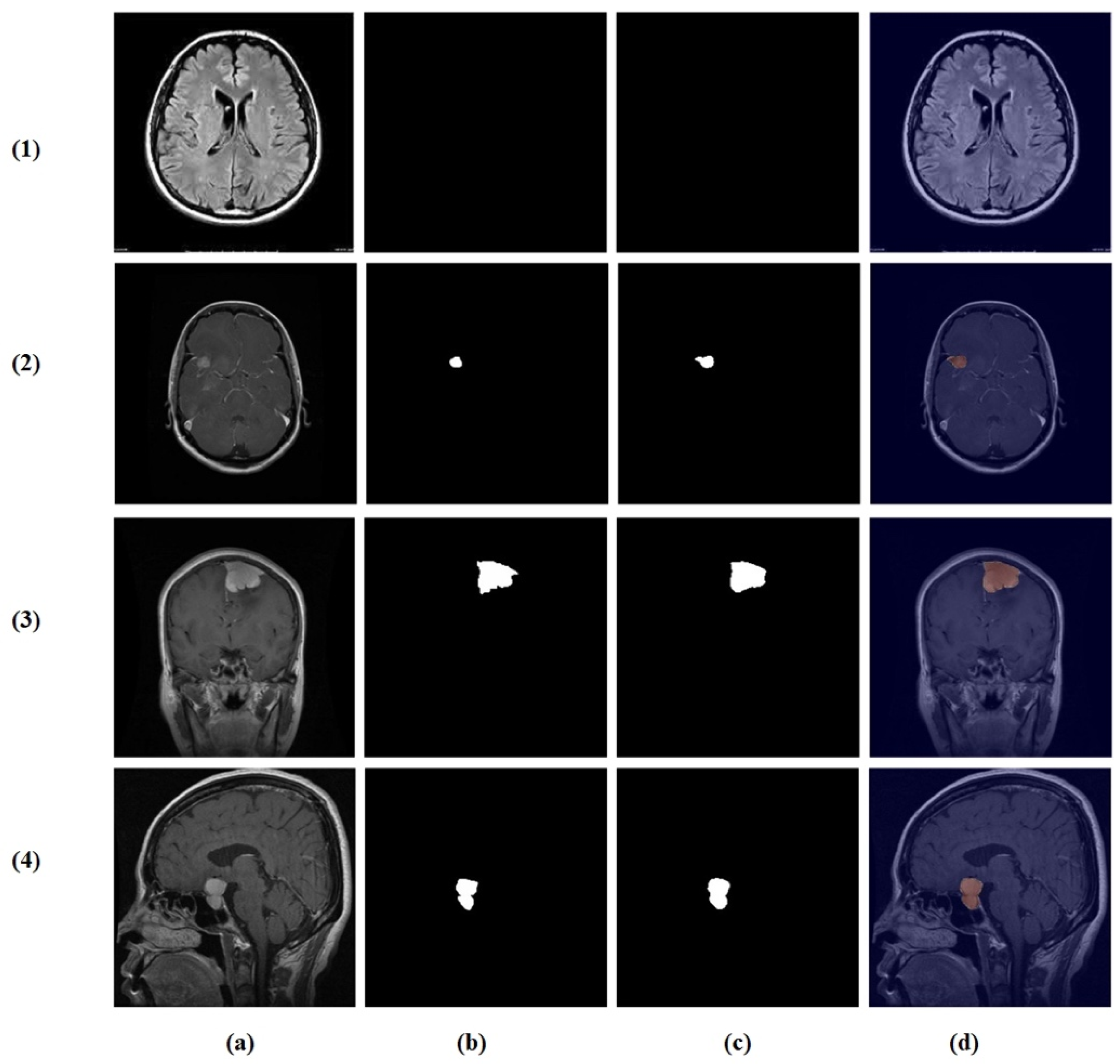 Brainsci 16 00037 g010 Brainsci 16 00037 g010