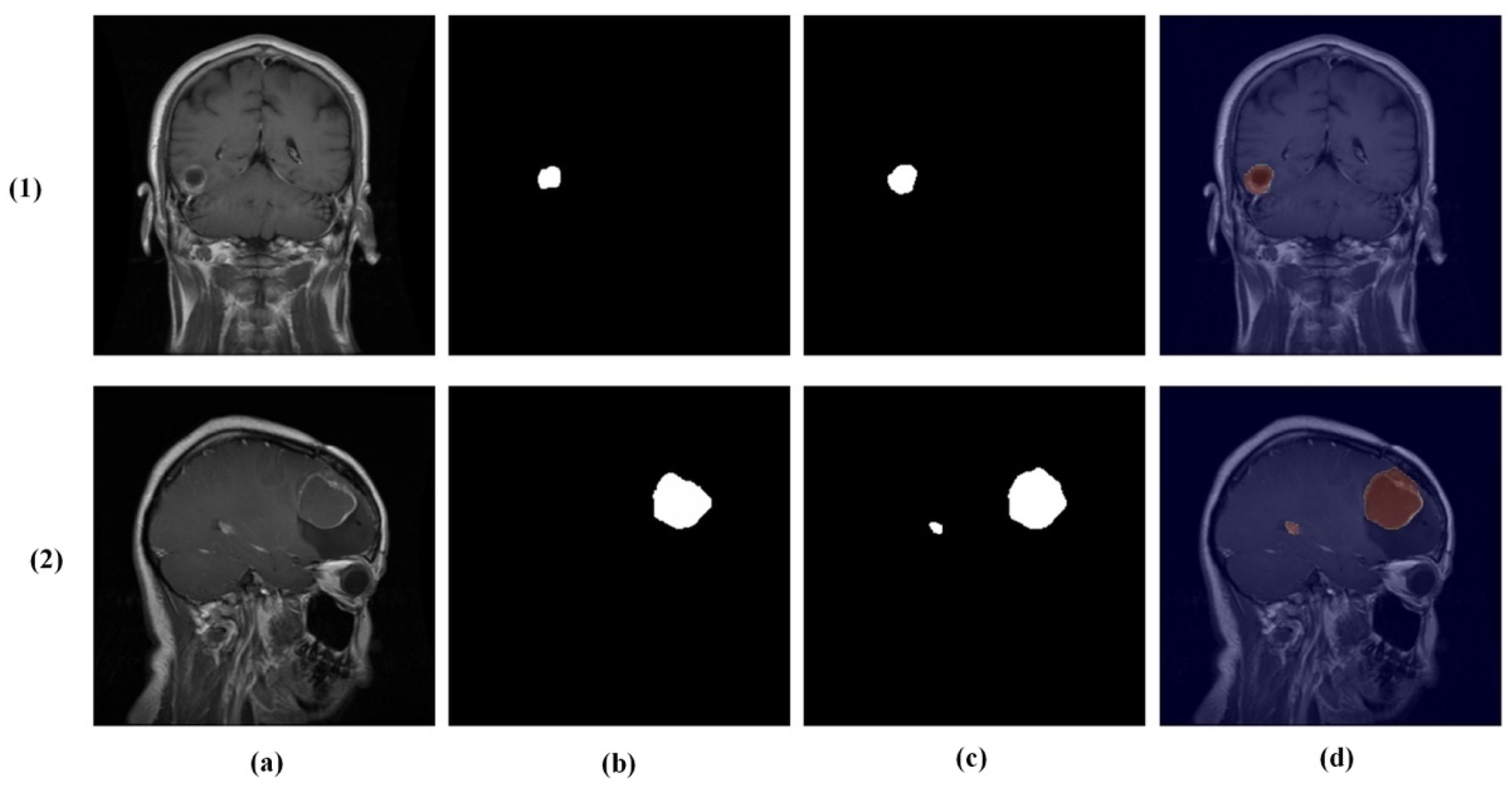 Brainsci 16 00037 g011 Brainsci 16 00037 g011