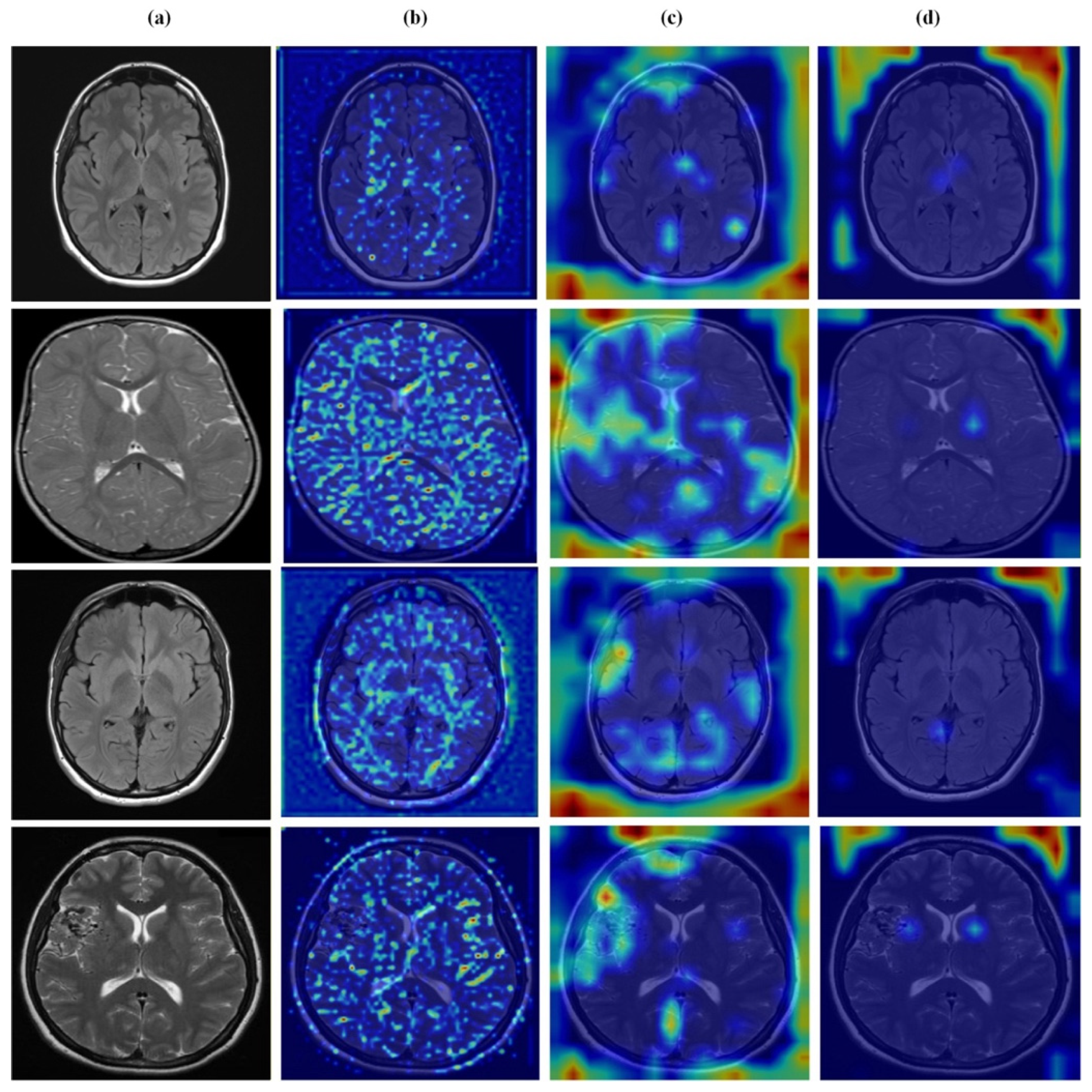 Brainsci 16 00037 g012 Brainsci 16 00037 g012