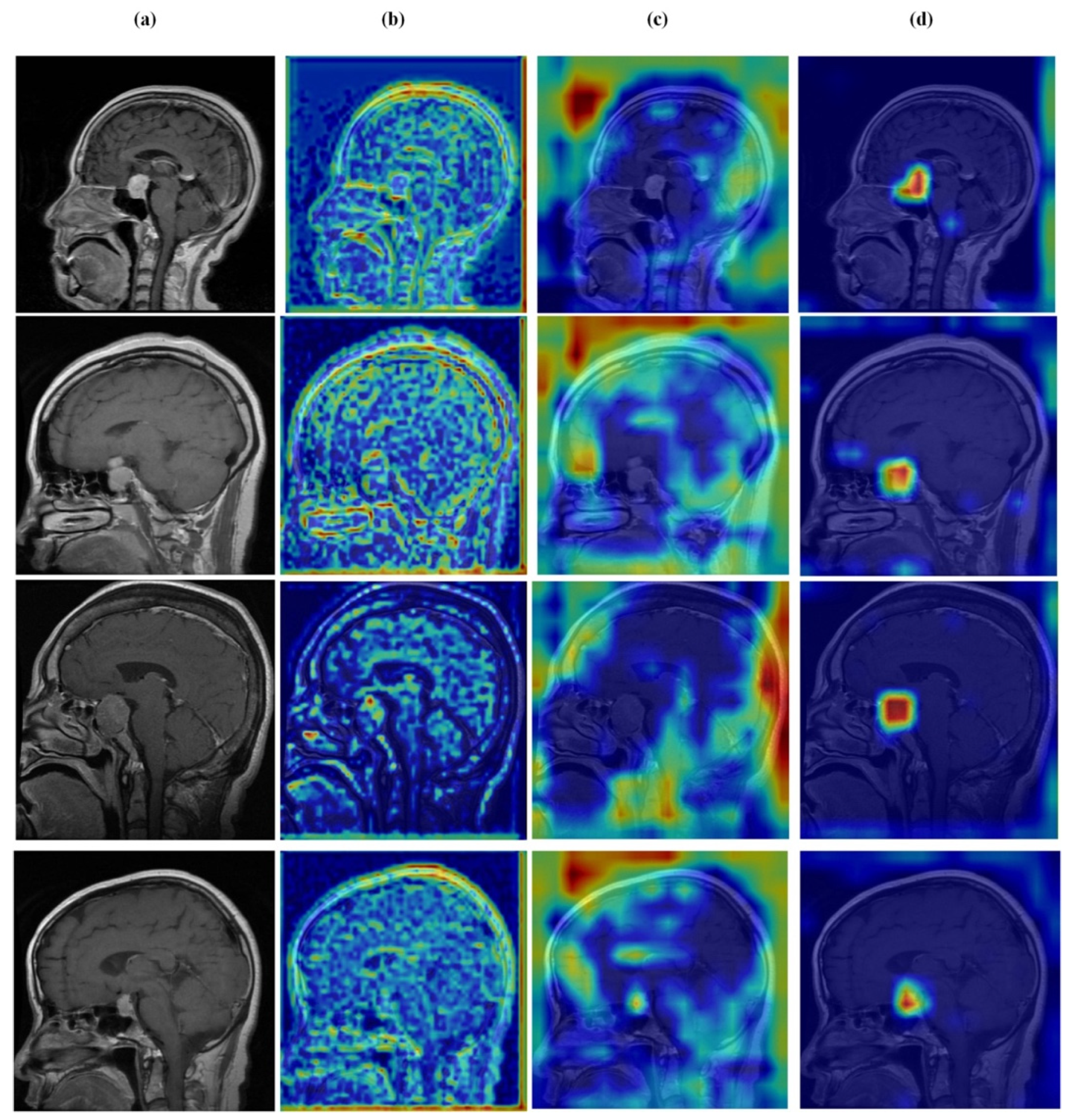 Brainsci 16 00037 g015 Brainsci 16 00037 g015