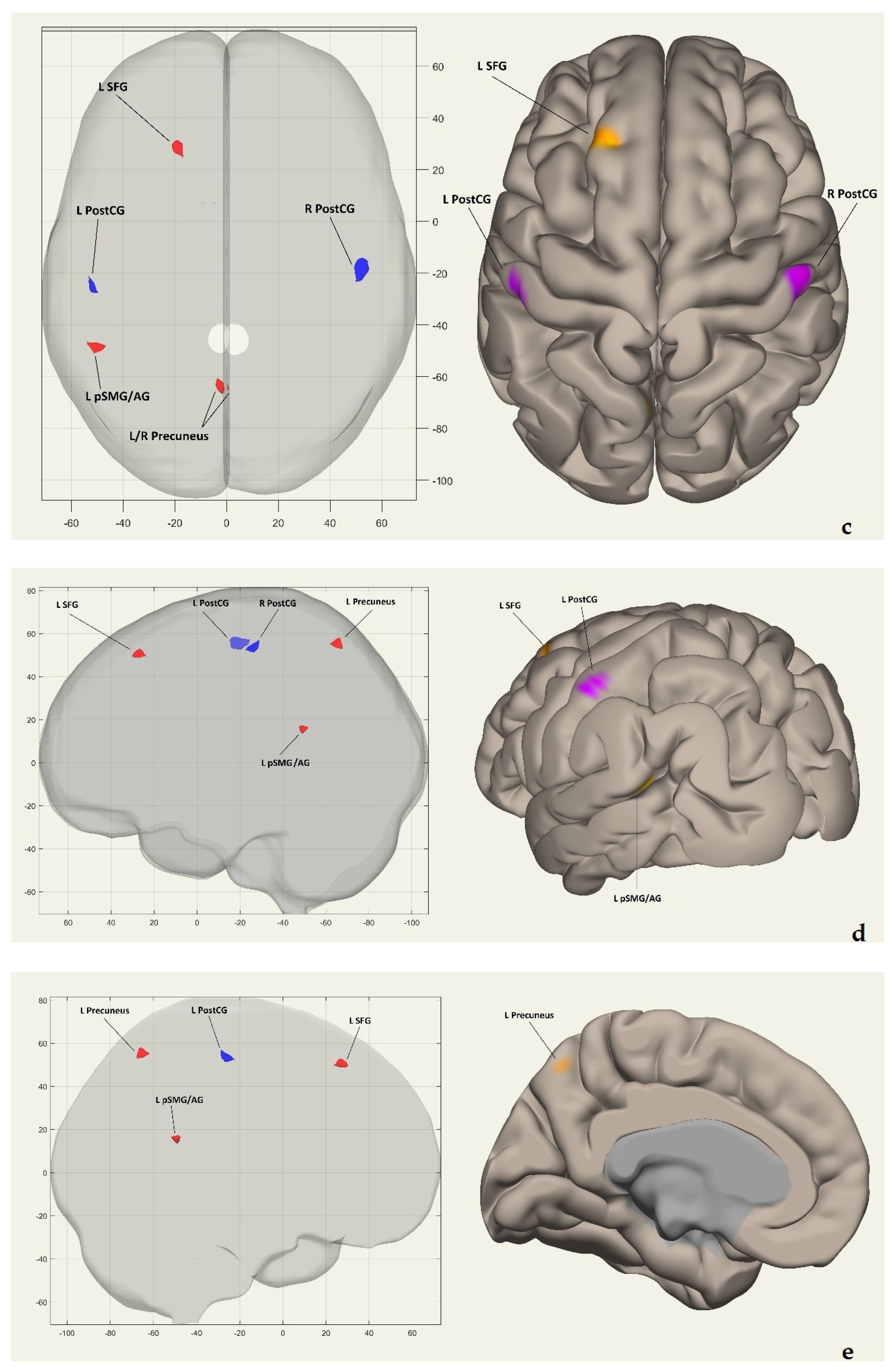 Brainsci 16 00055 g002b