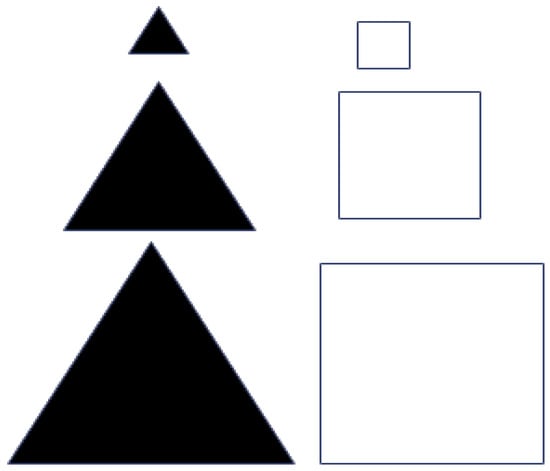 Brainsci 16 00064 g001
