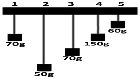 Brainsci 16 00064 g003