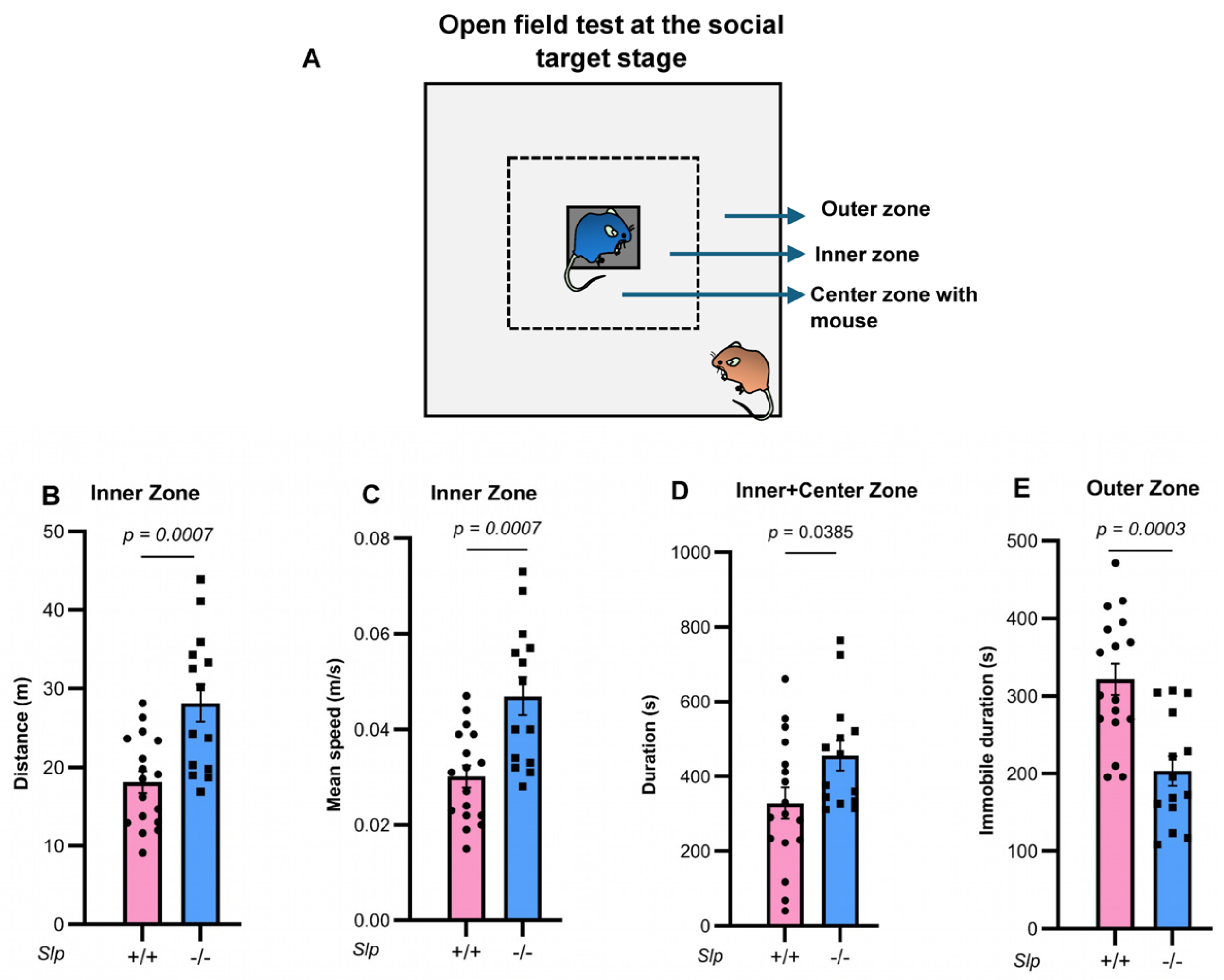 Brainsci 16 00081 g001 Brainsci 16 00081 g001