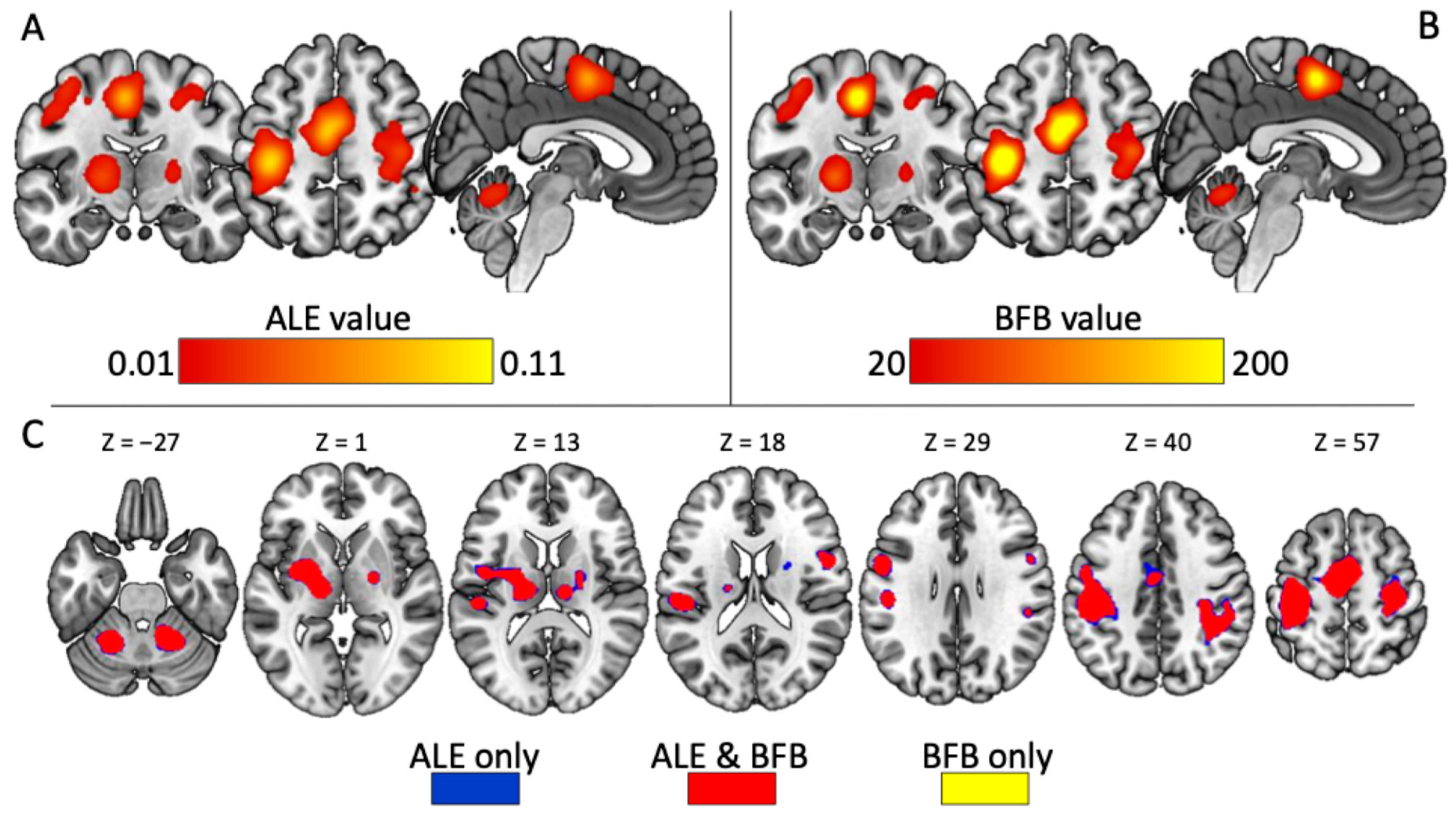 Brainsci 16 00087 g001 Brainsci 16 00087 g001