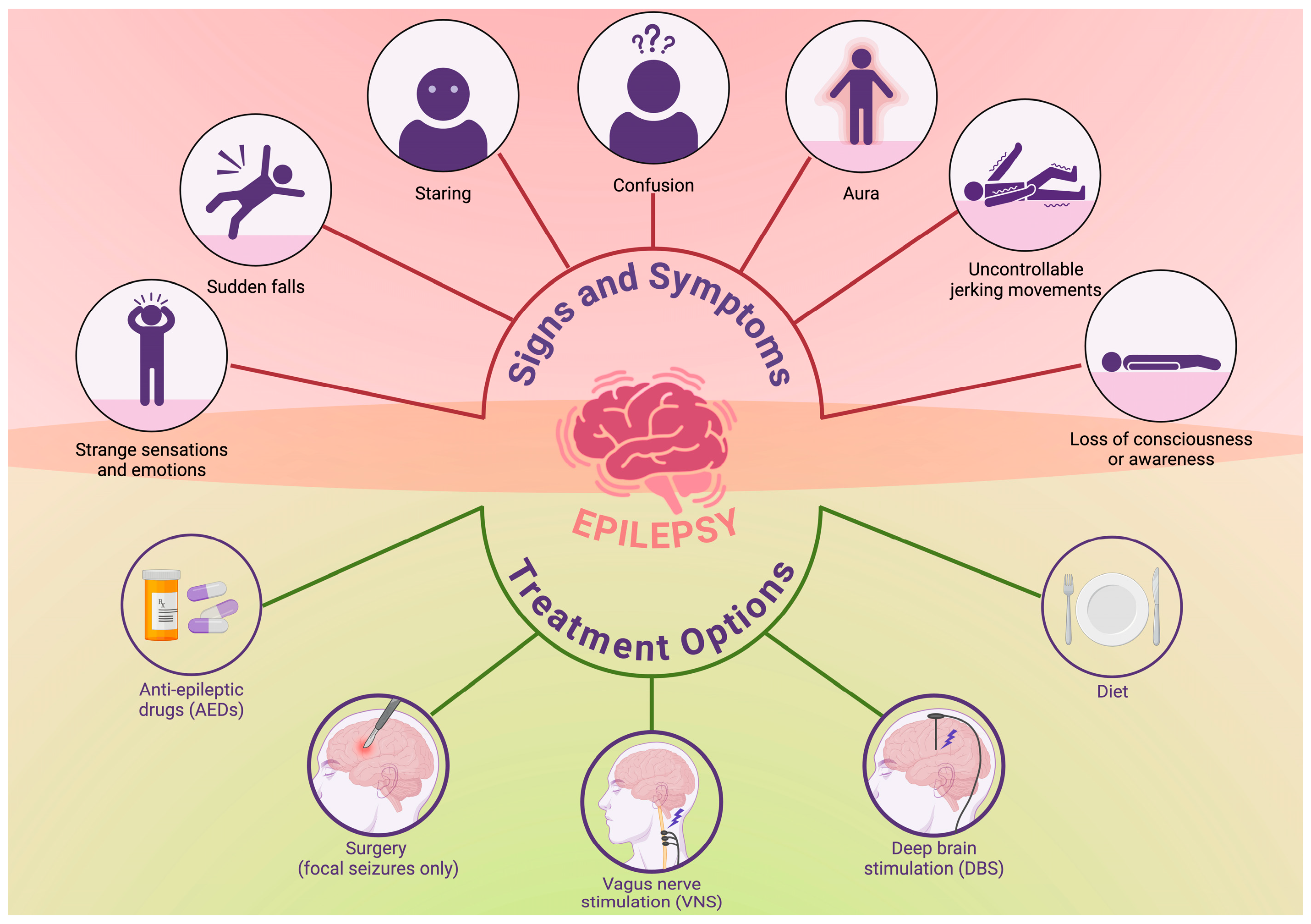 Brainsci 16 00089 g001 Brainsci 16 00089 g001