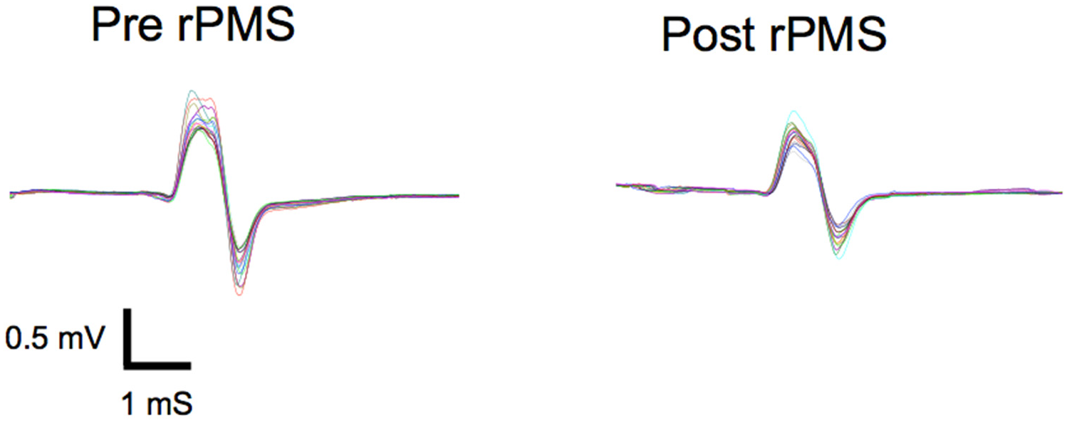 Brainsci 16 00100 g002 Brainsci 16 00100 g002