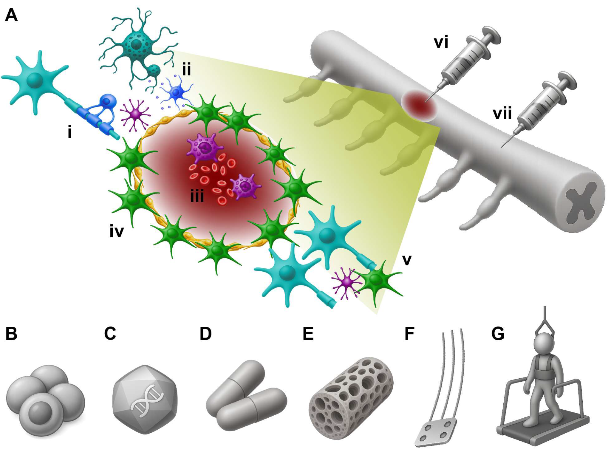 Brainsci 16 00113 g002 Brainsci 16 00113 g002