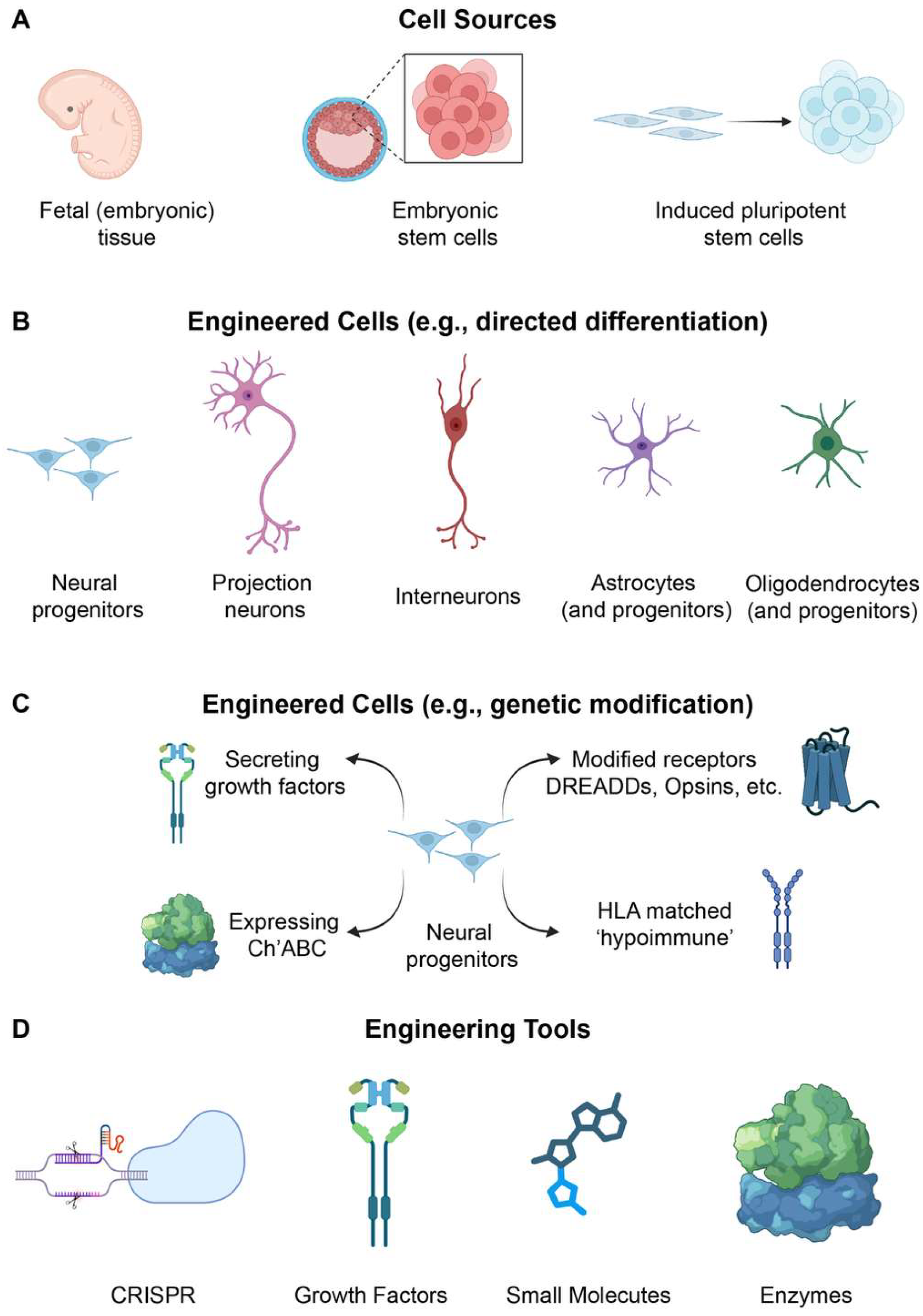 Brainsci 16 00113 g003 Brainsci 16 00113 g003