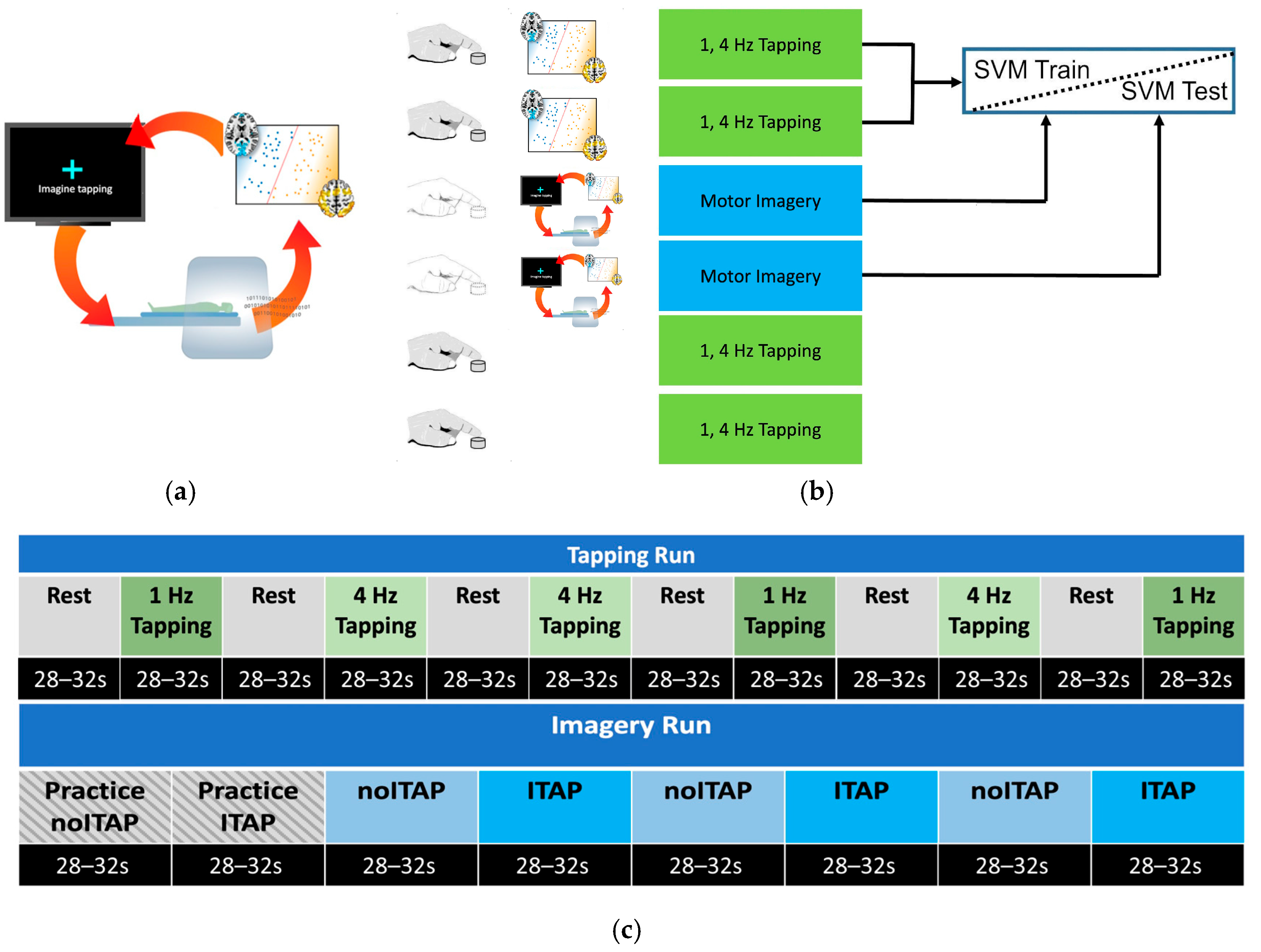 Brainsci 16 00120 g001