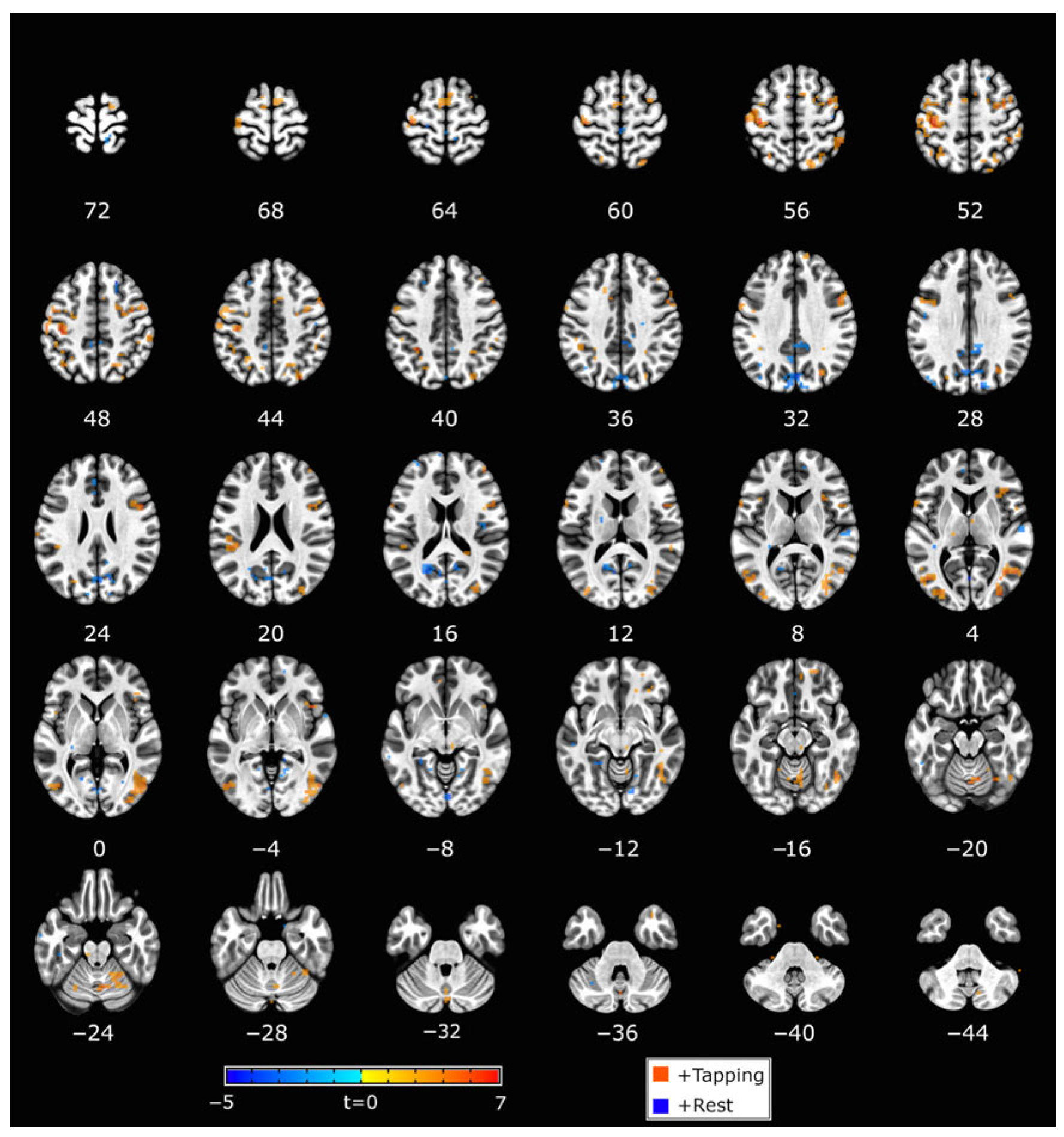 Brainsci 16 00120 g004