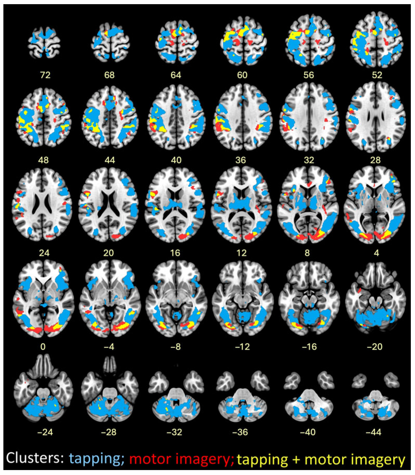 Brainsci 16 00120 g007