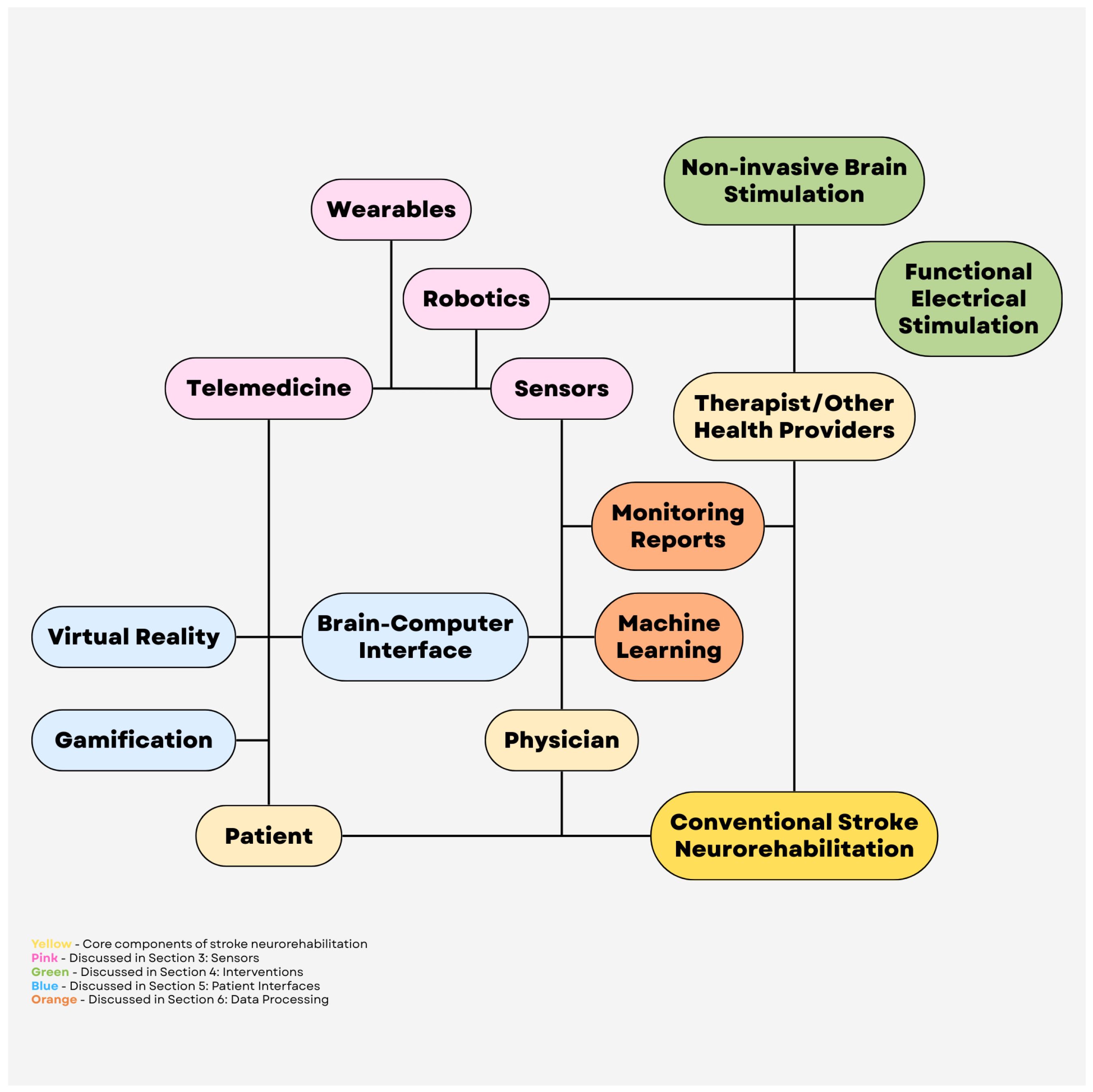 Brainsci 16 00124 g001
