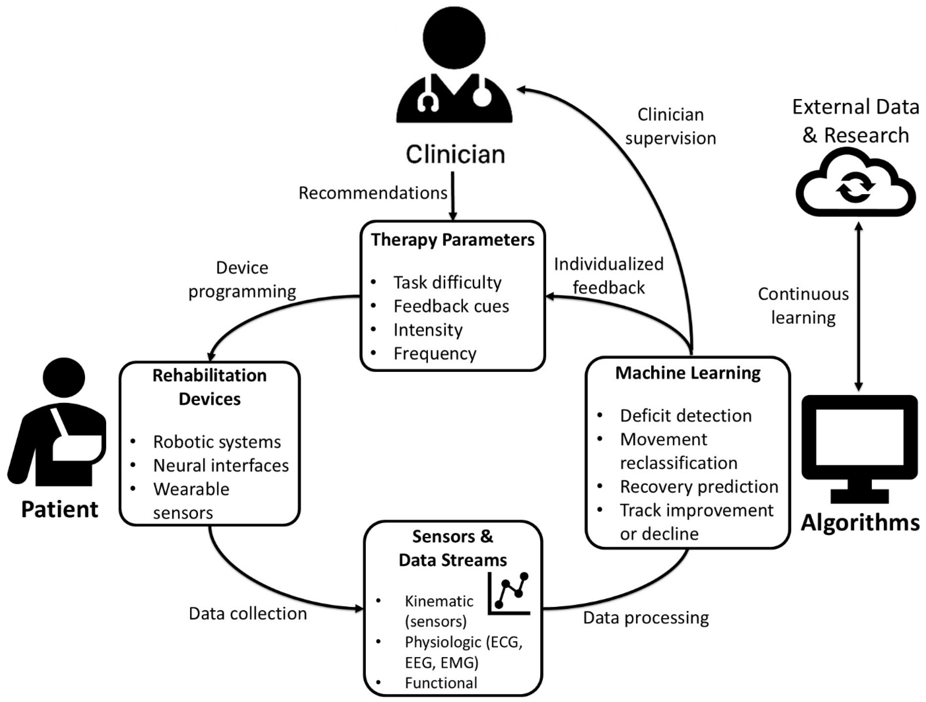 Brainsci 16 00124 g002