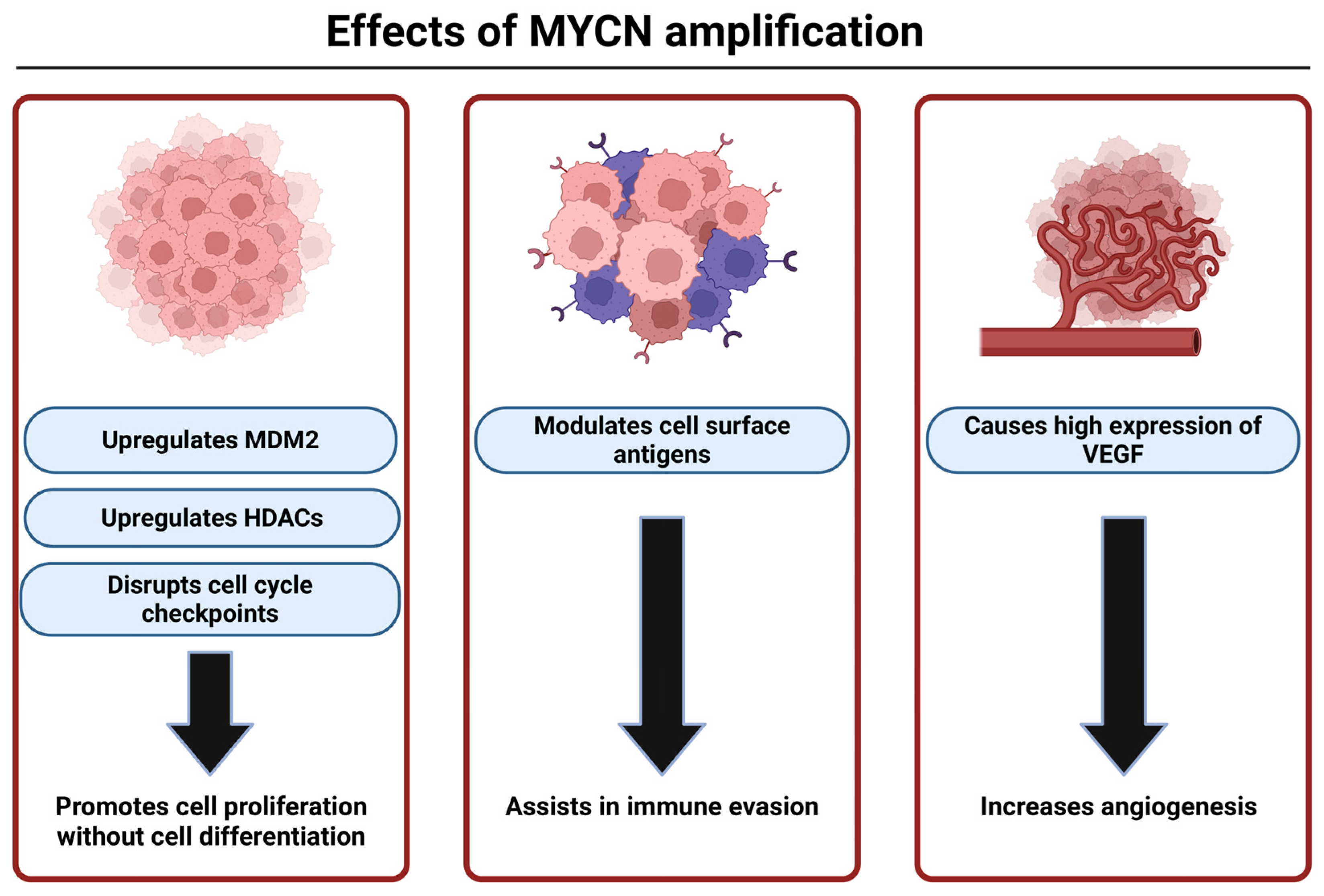 Brainsci 16 00125 g003 Brainsci 16 00125 g003