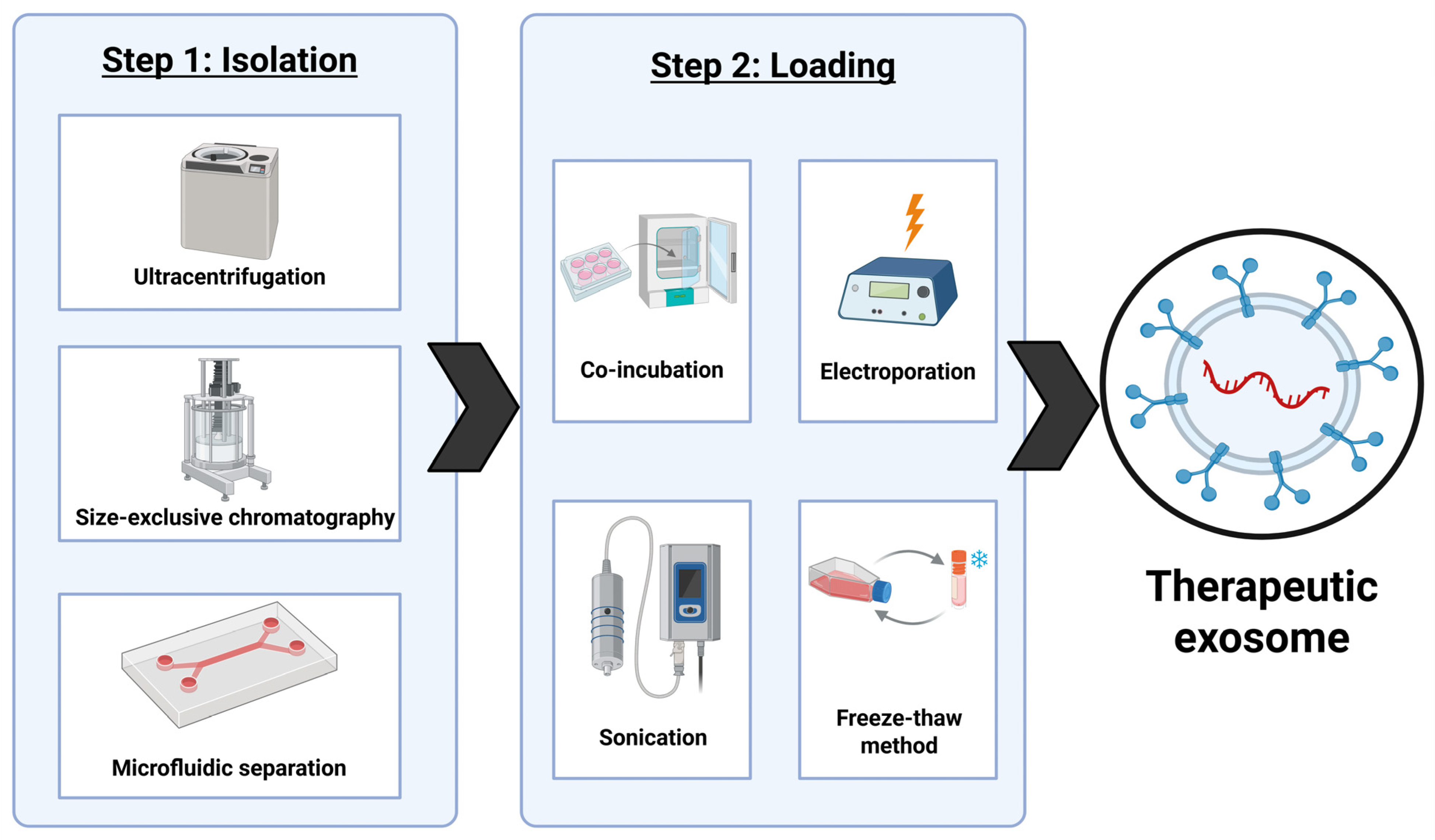 Brainsci 16 00125 g005 Brainsci 16 00125 g005