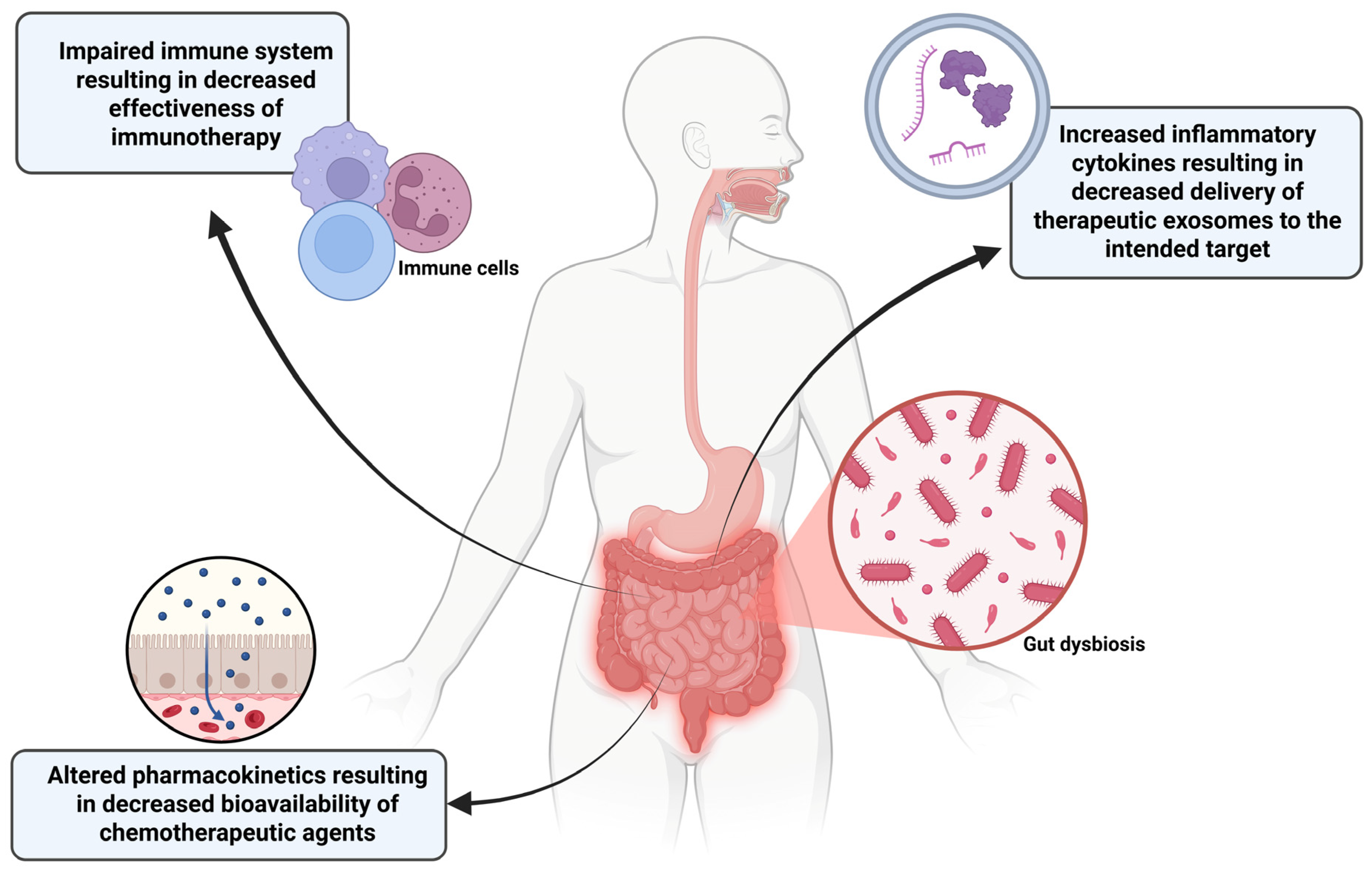 Brainsci 16 00125 g006 Brainsci 16 00125 g006