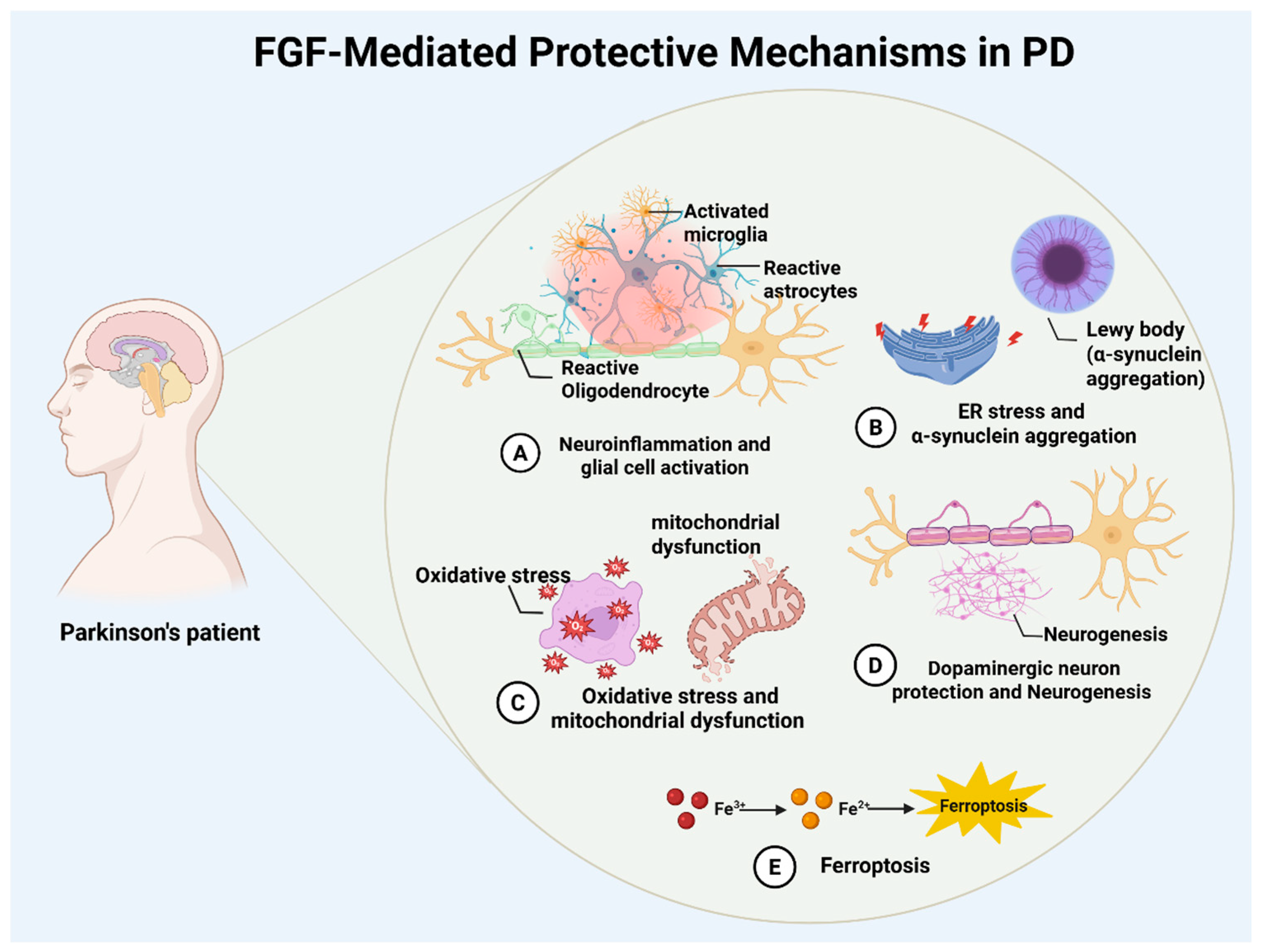 Brainsci 16 00151 g001 Brainsci 16 00151 g001