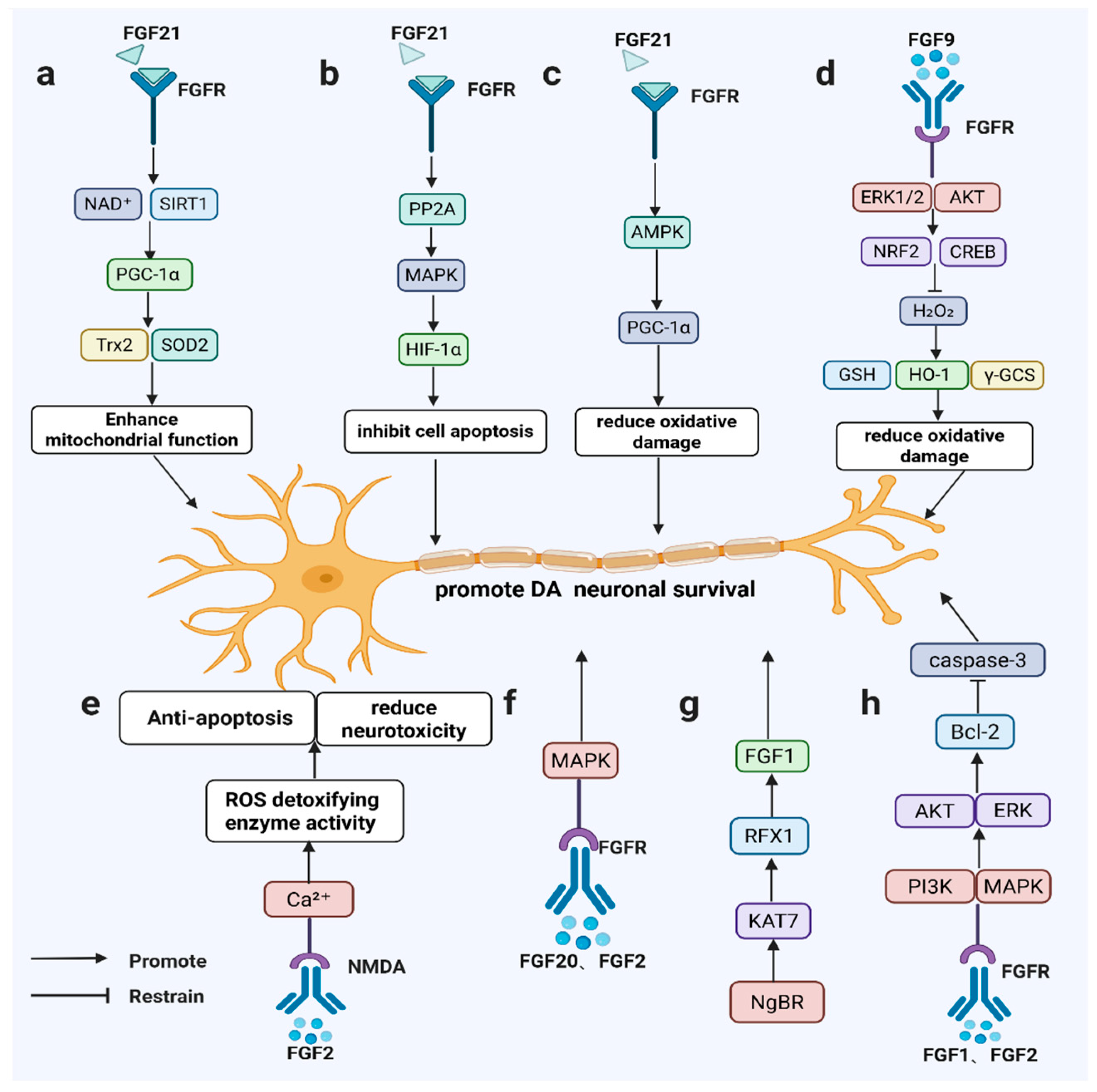 Brainsci 16 00151 g002 Brainsci 16 00151 g002