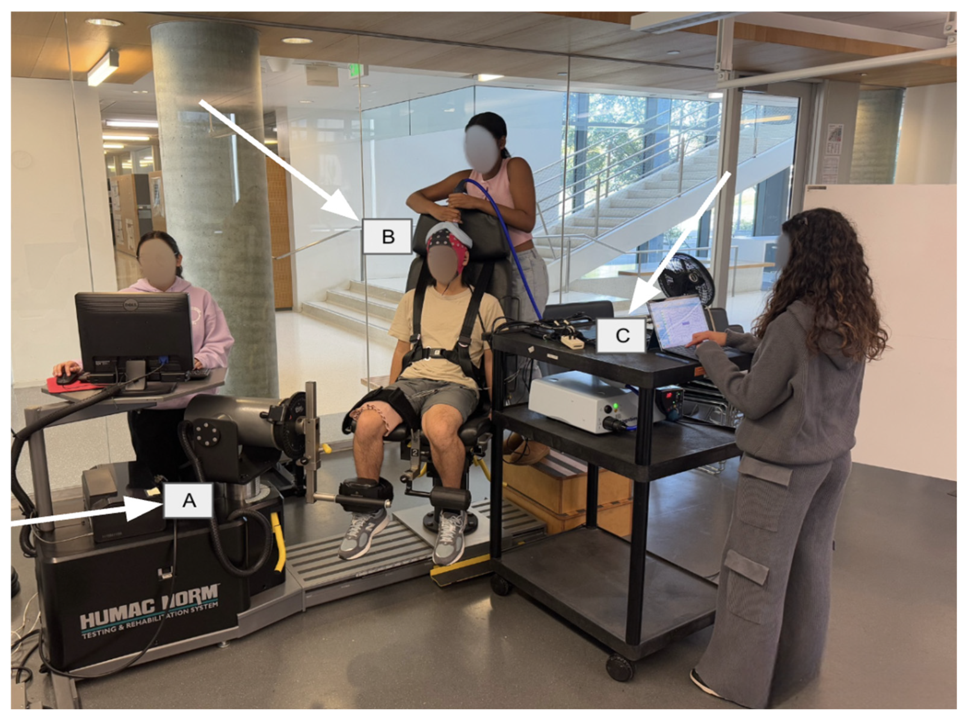 Brainsci 16 00156 g001 Brainsci 16 00156 g001