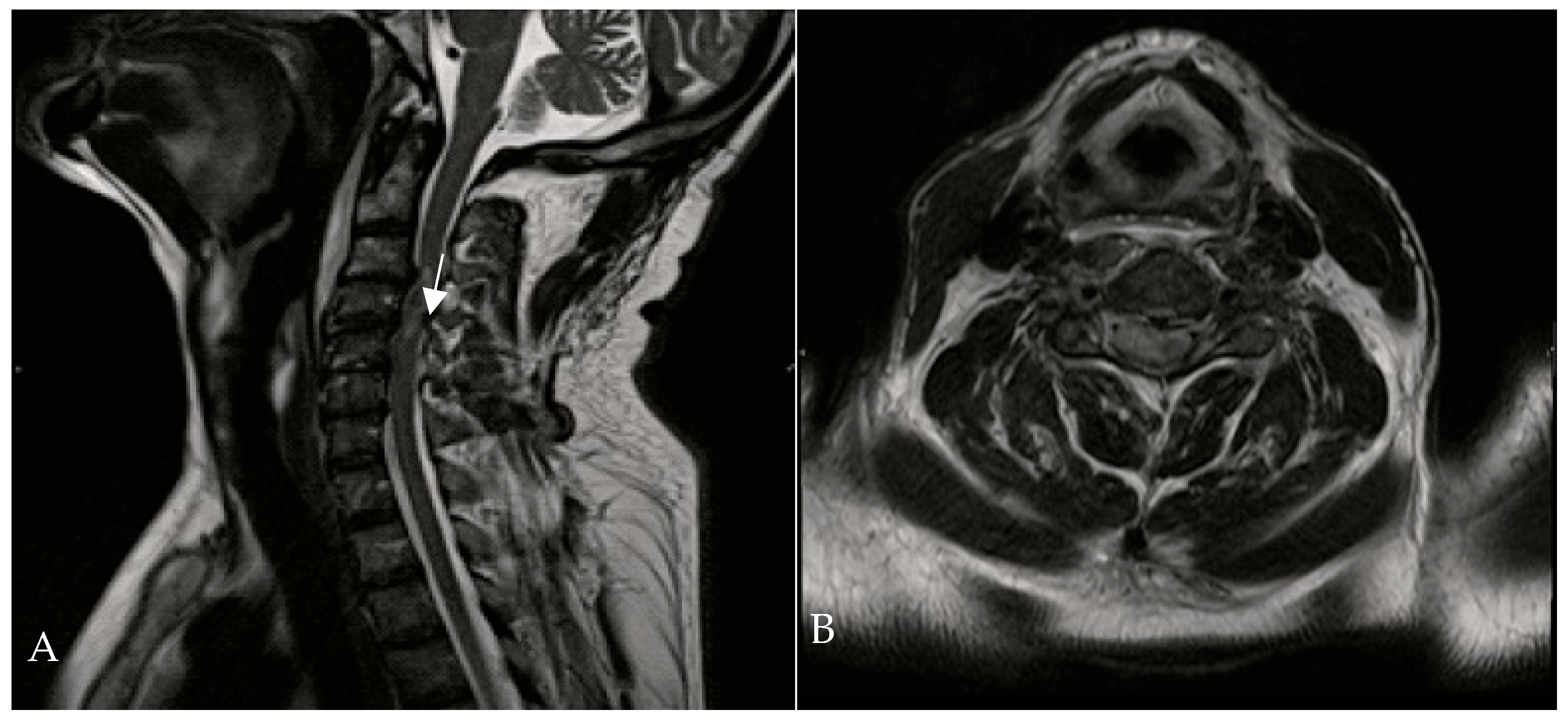 Brainsci 16 00165 g002